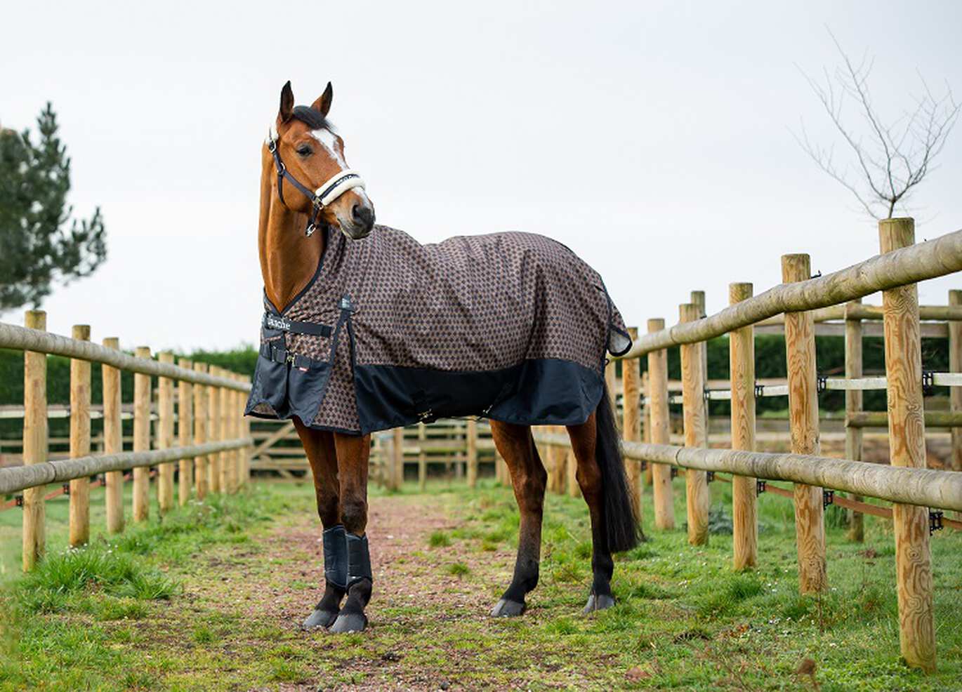 Pferd eindecken - wann und wieso?