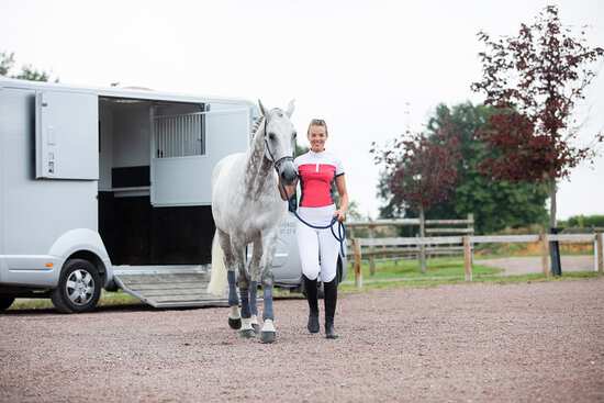 Pferd im Hänger einfach und sicher verladen