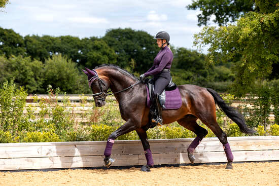 Produkt im Test - LeMieux Schabracken