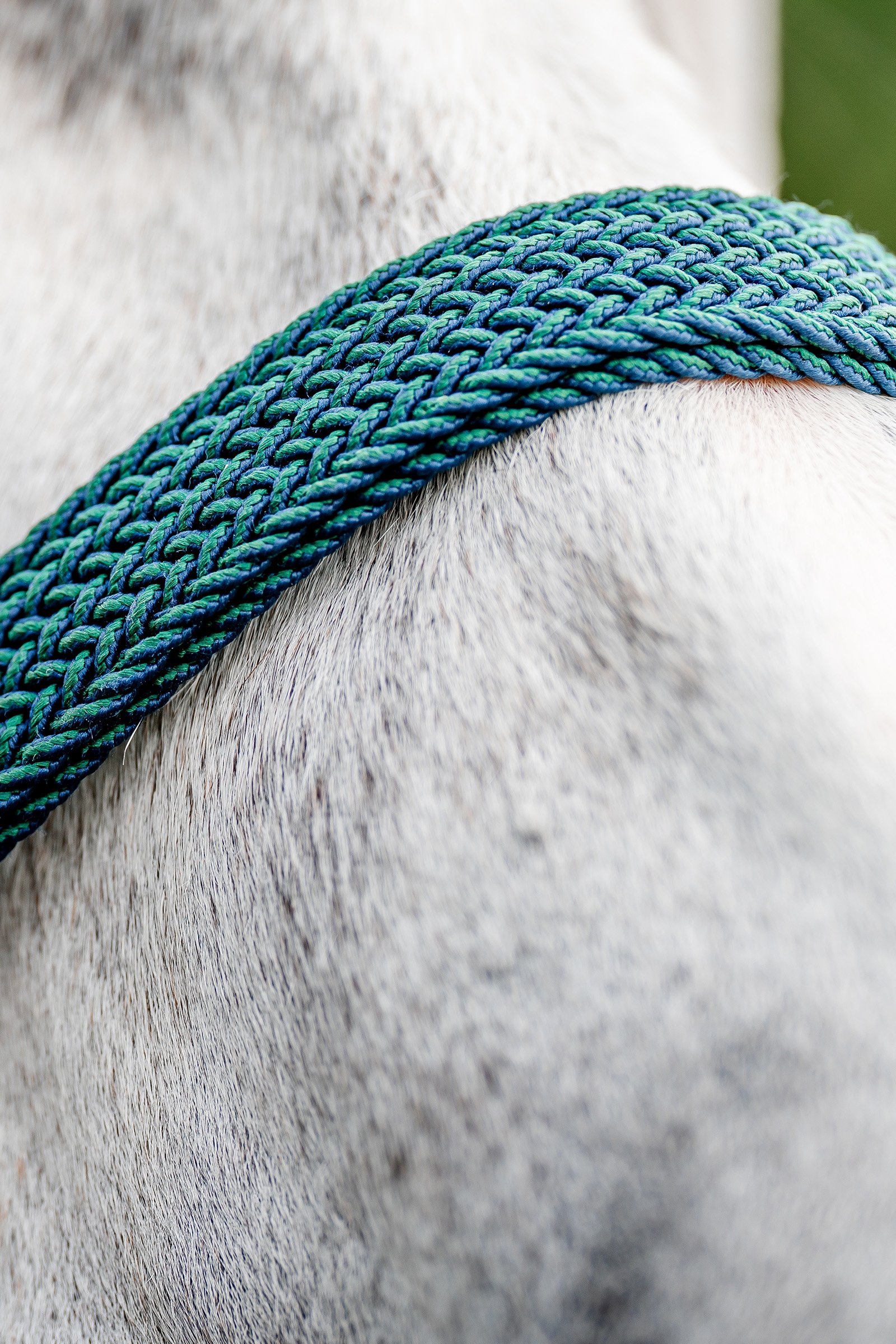 Horseware Signature geflochtenes Halfter