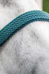 Horseware Signature geflochtenes Halfter