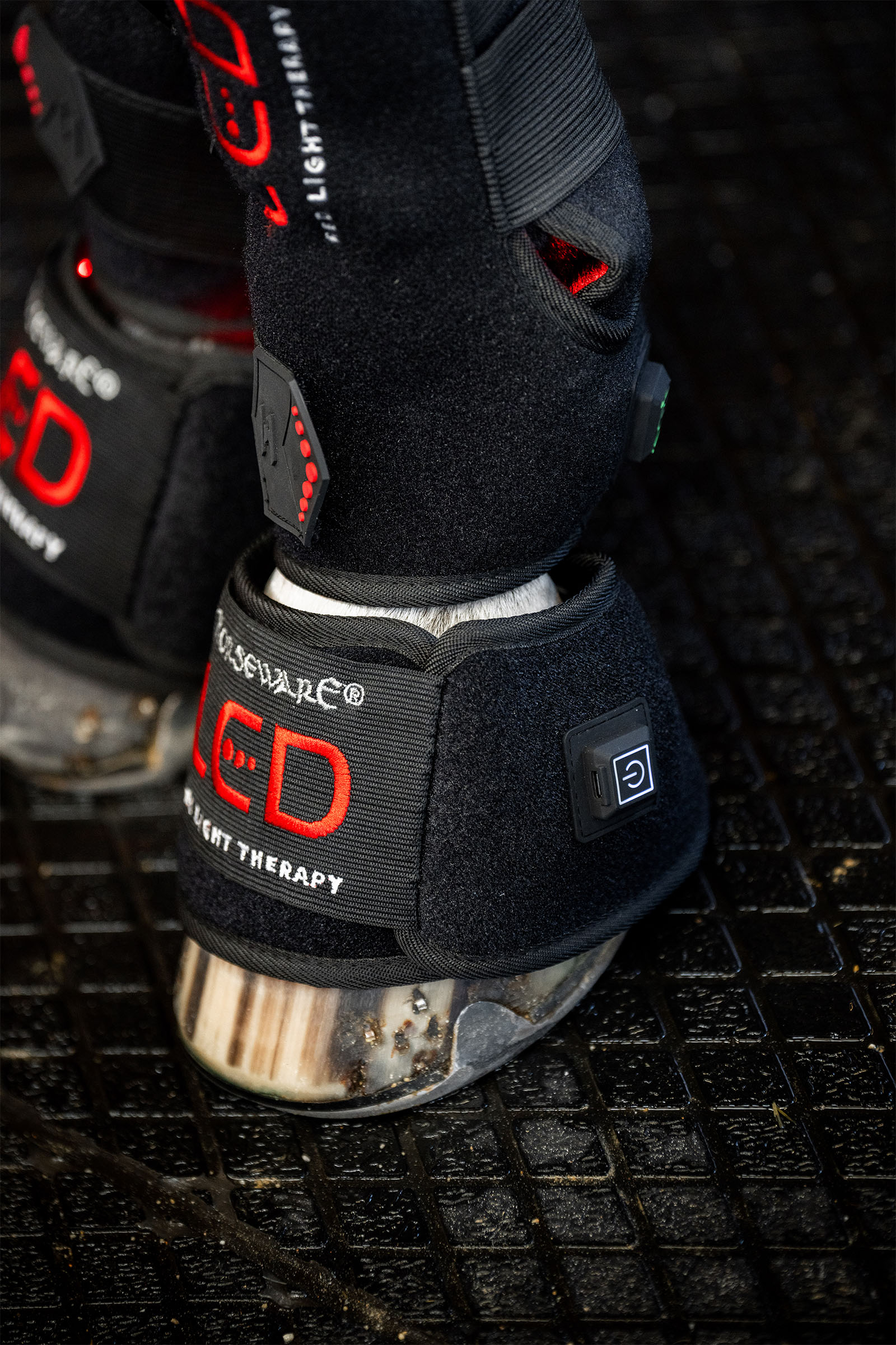 Horseware LED Rotlicht Therapie Mini-Gamasche (1 Stk.)