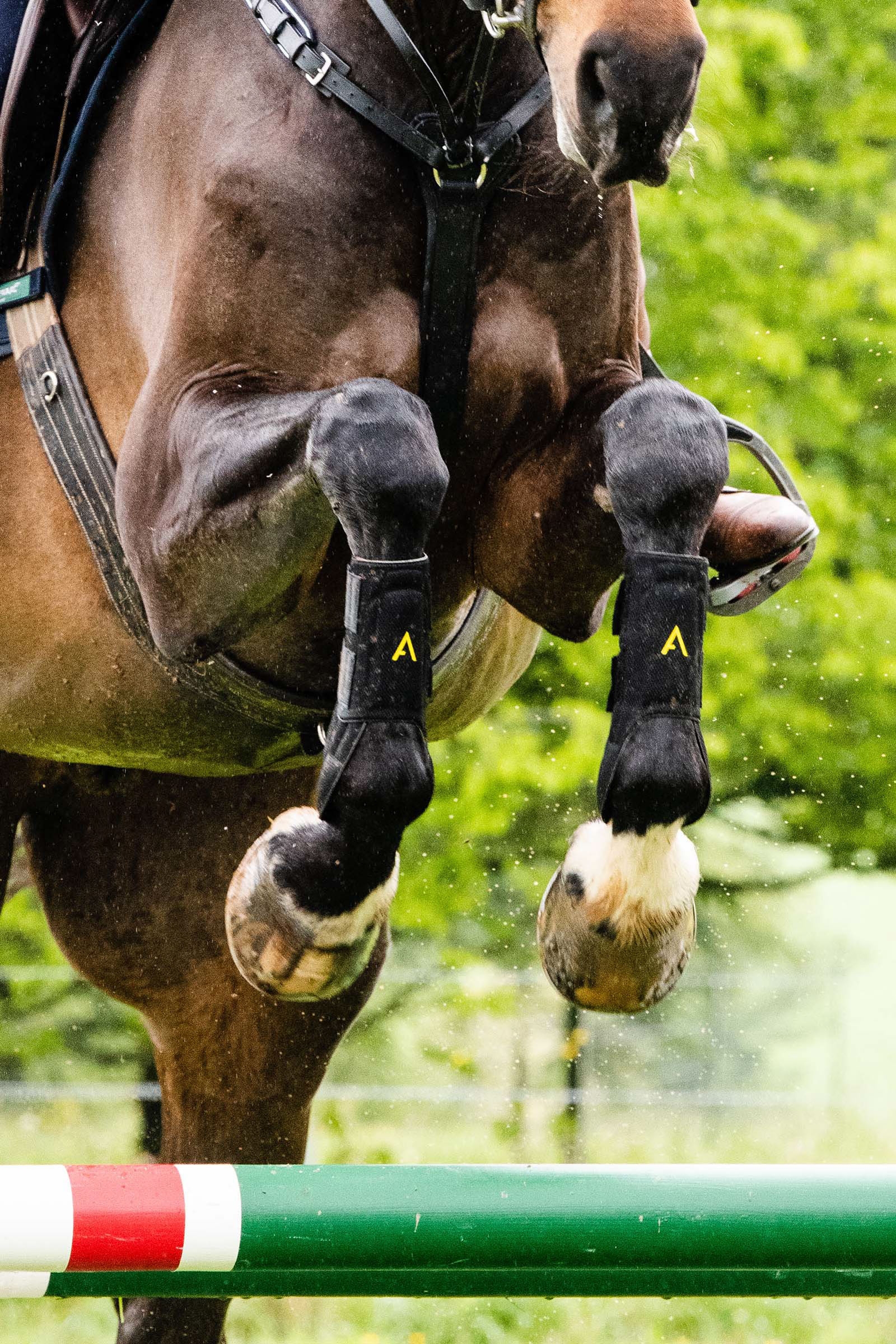 Horseware Adagio Gamaschen