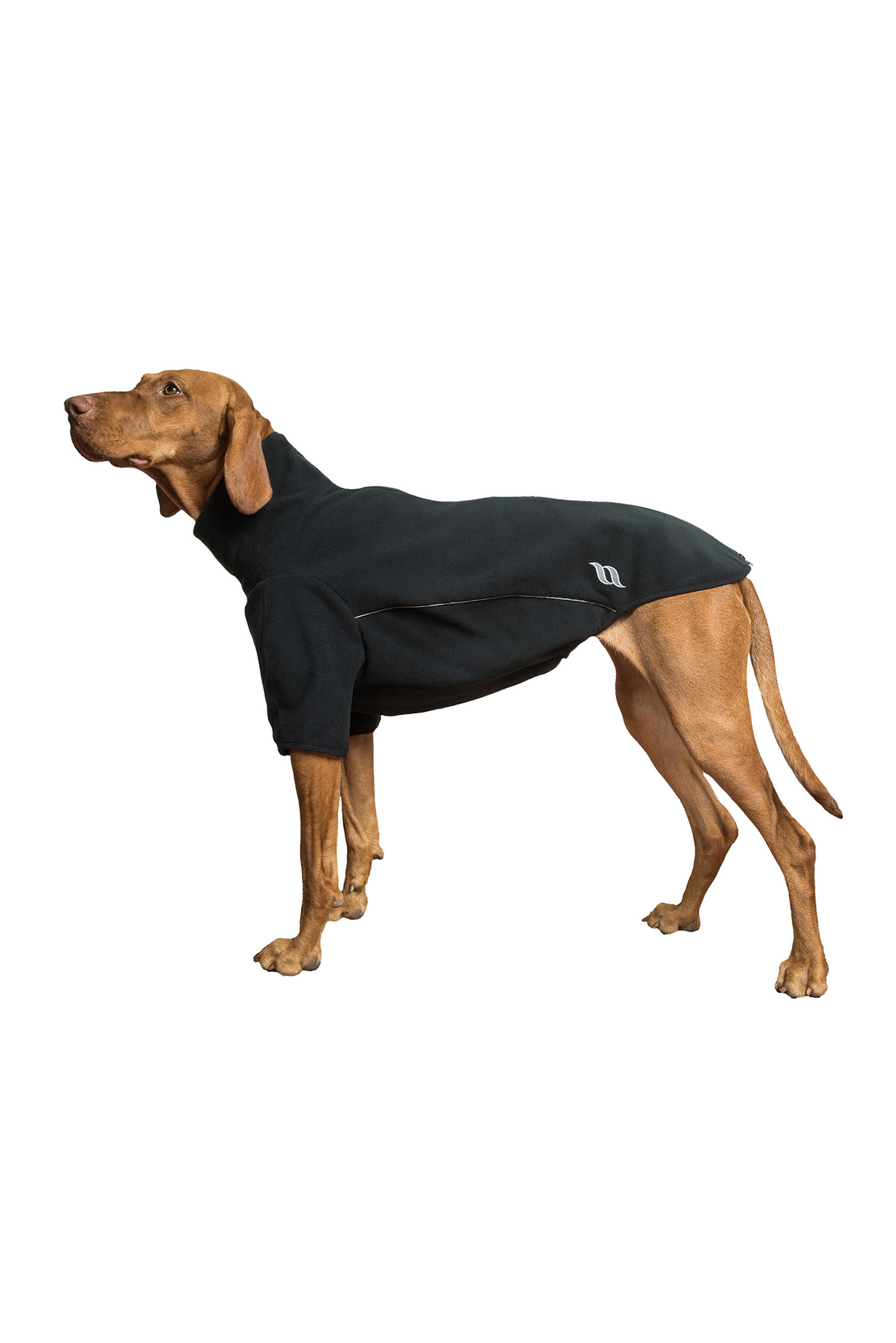 Back on Track Cassie All-Wetter-Pullover, 45-50cm