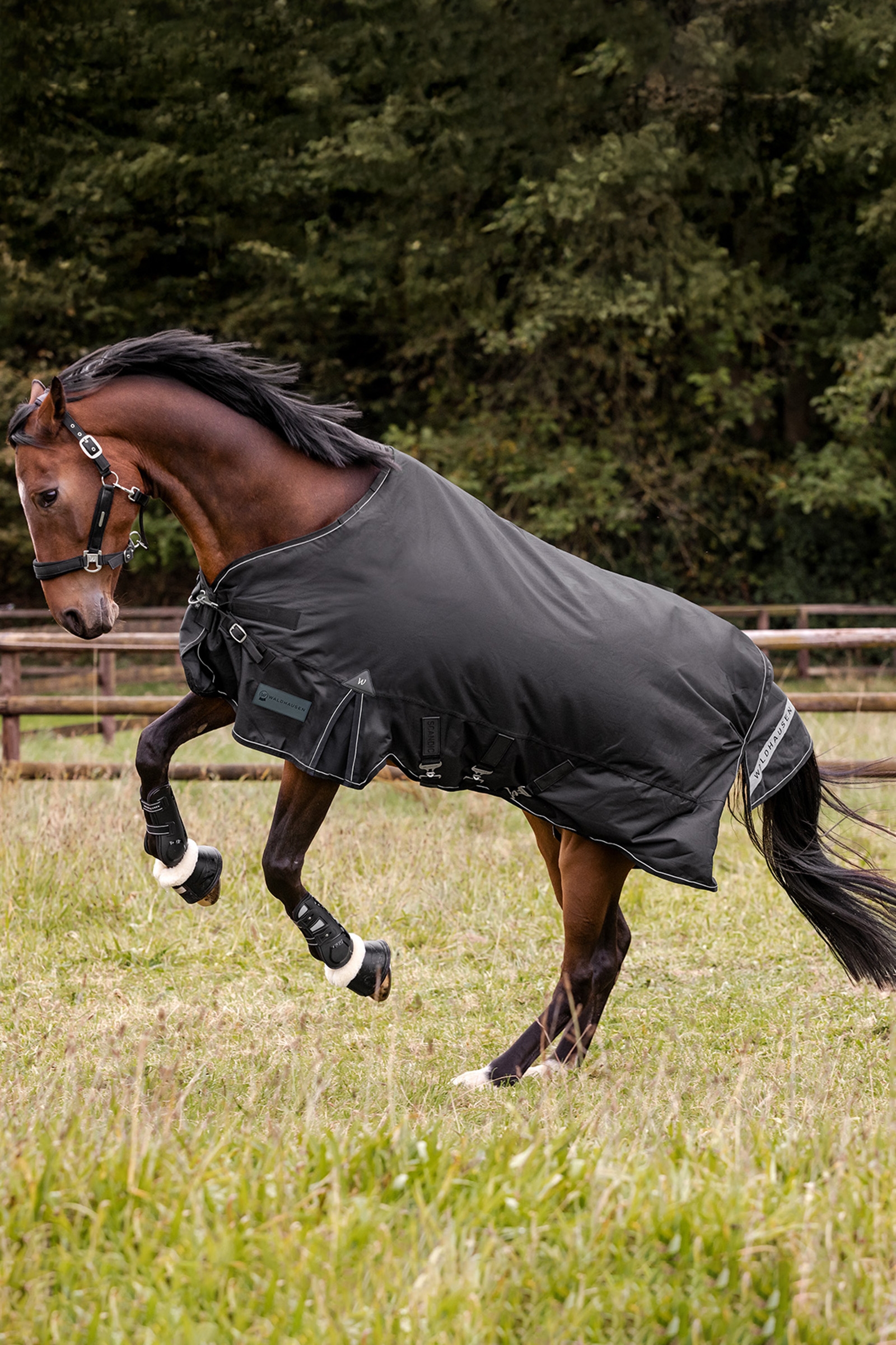 Waldhausen Outdoor Rug Scandic Light