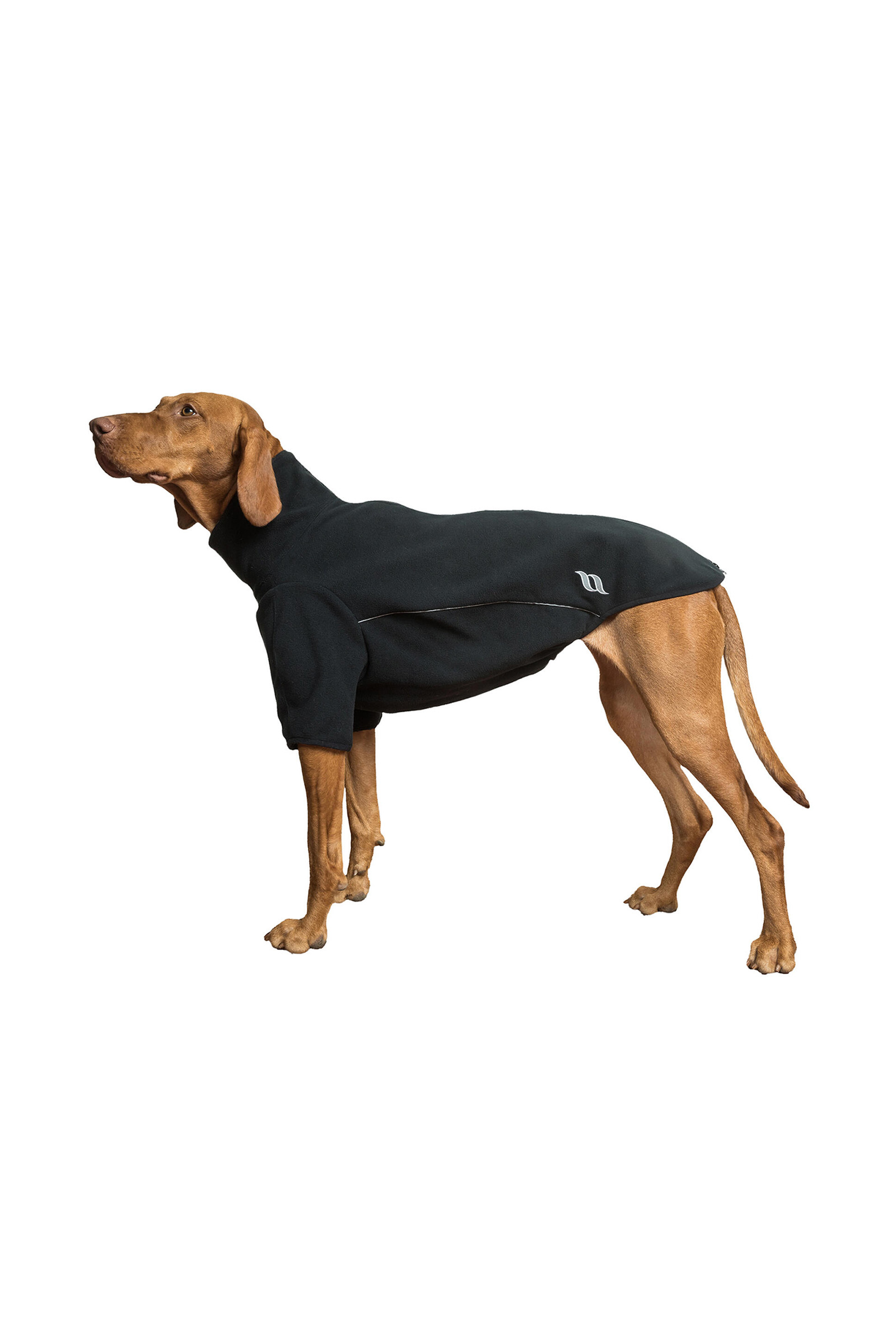 Back on Track Cassie All-Wetter-Pullover, 25-30cm