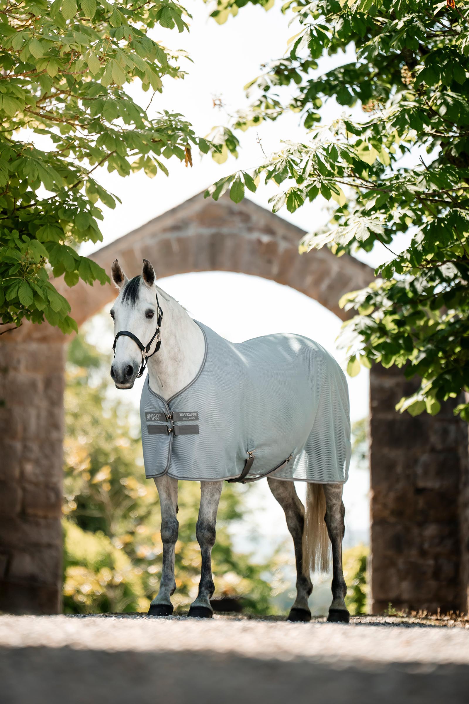 Horseware Amigo AirNet Abschwitzdecke