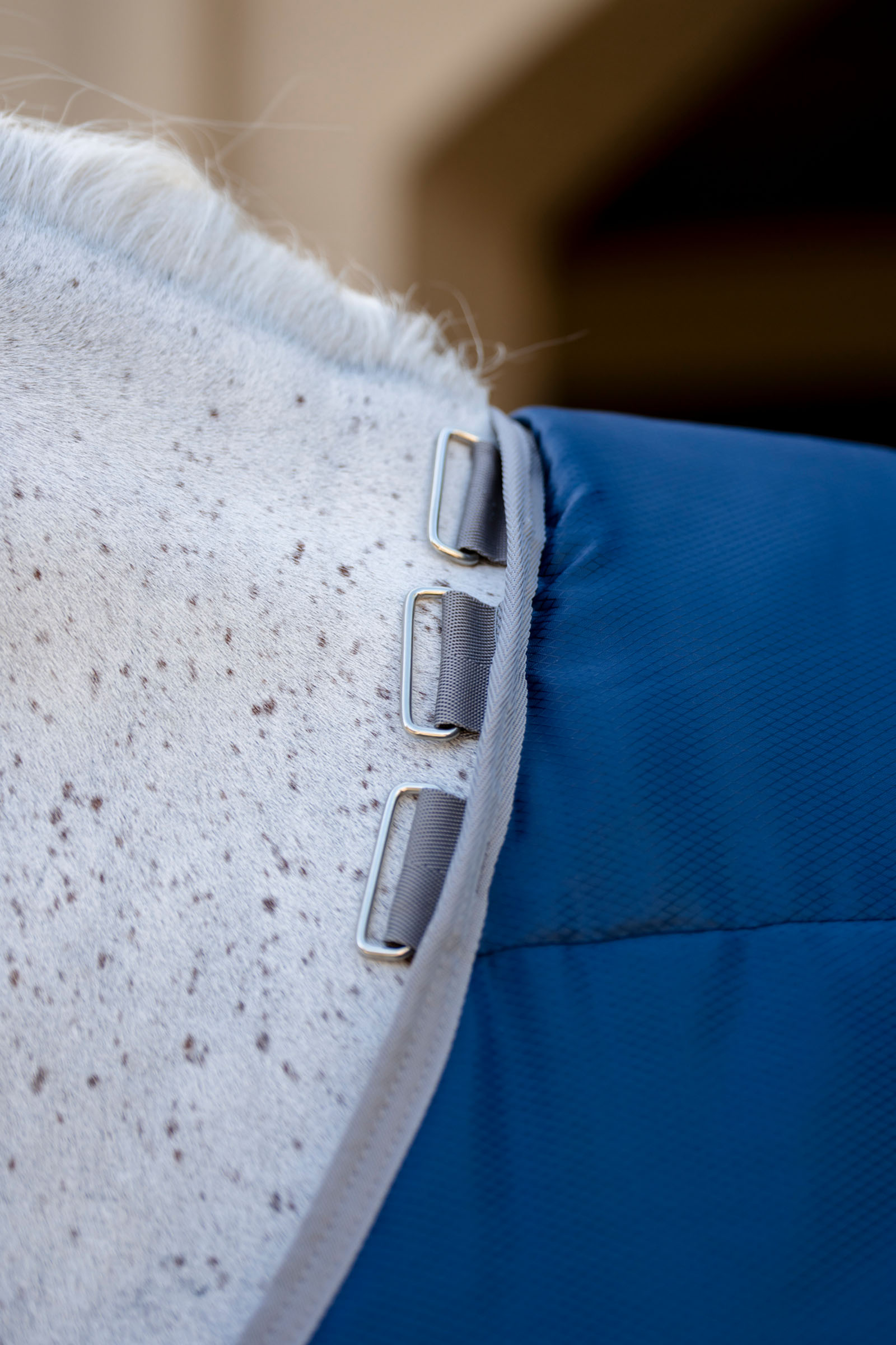 Horseware Amigo Ripstop Insulator Stalldecke, 50g