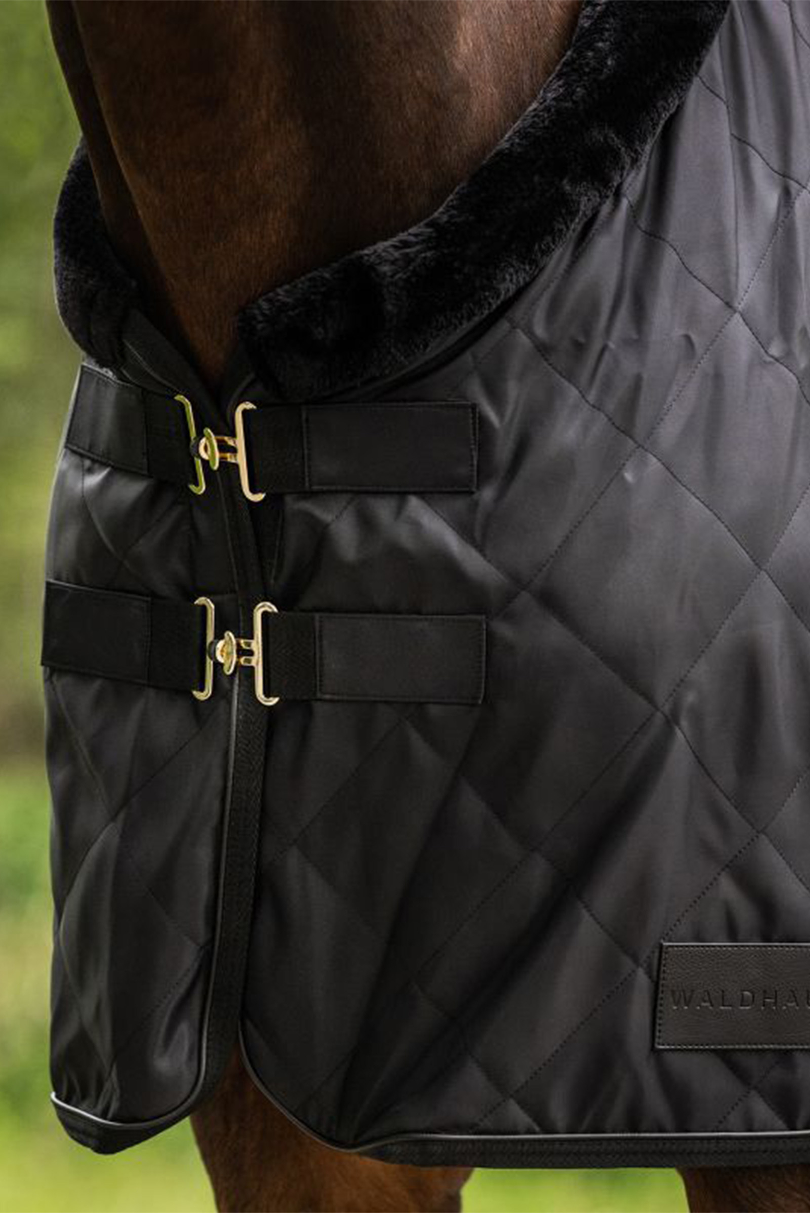 Waldhausen Transportdecke Exclusive, 50g