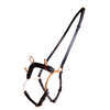 Karlslund gebissloser Zaum mit Bügel