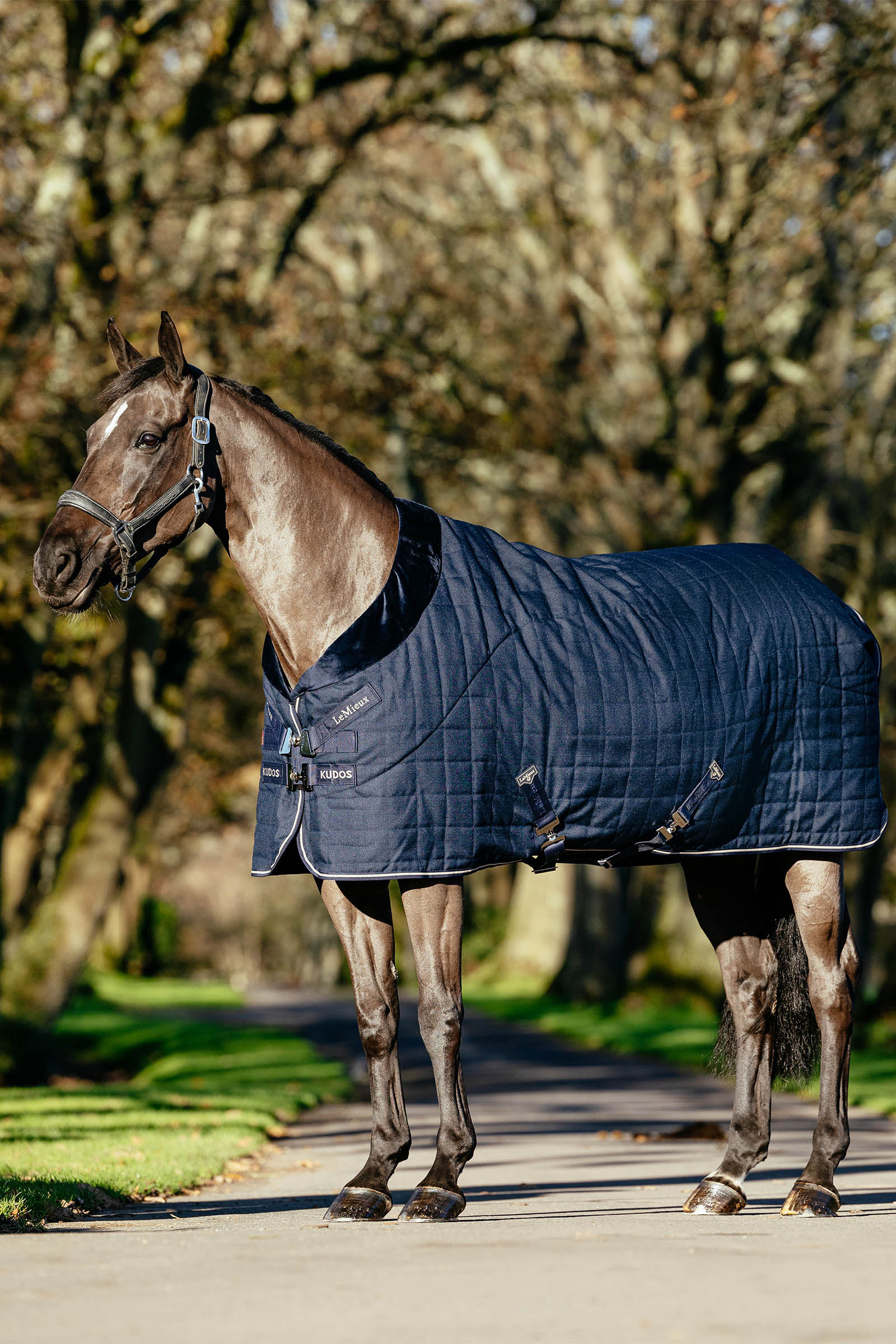 Navy LeMieux Kudos Luxe gef&uuml;tterte Stalldecke, 100 g