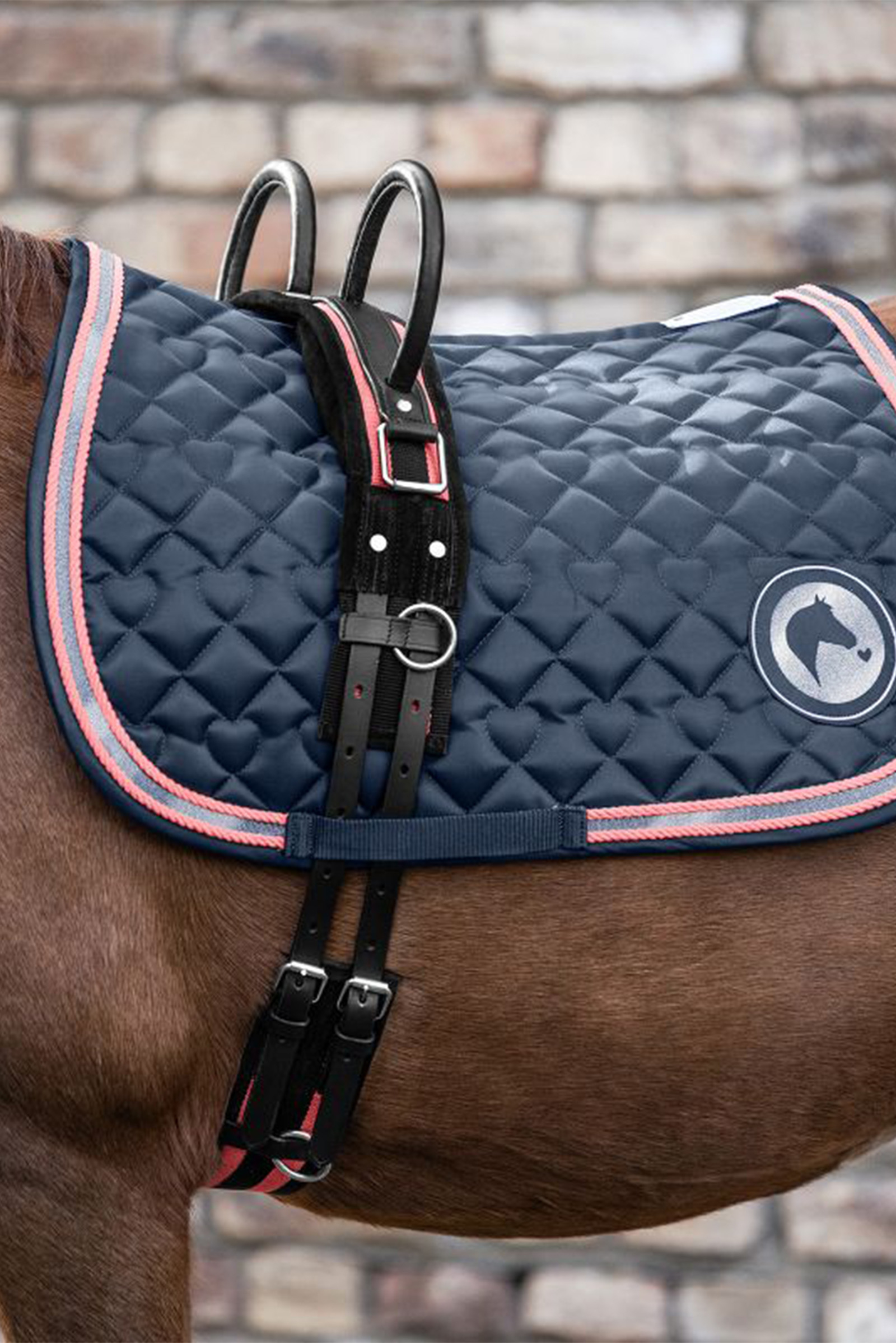 Waldhausen Longiergurt mit zwei Handgriffen