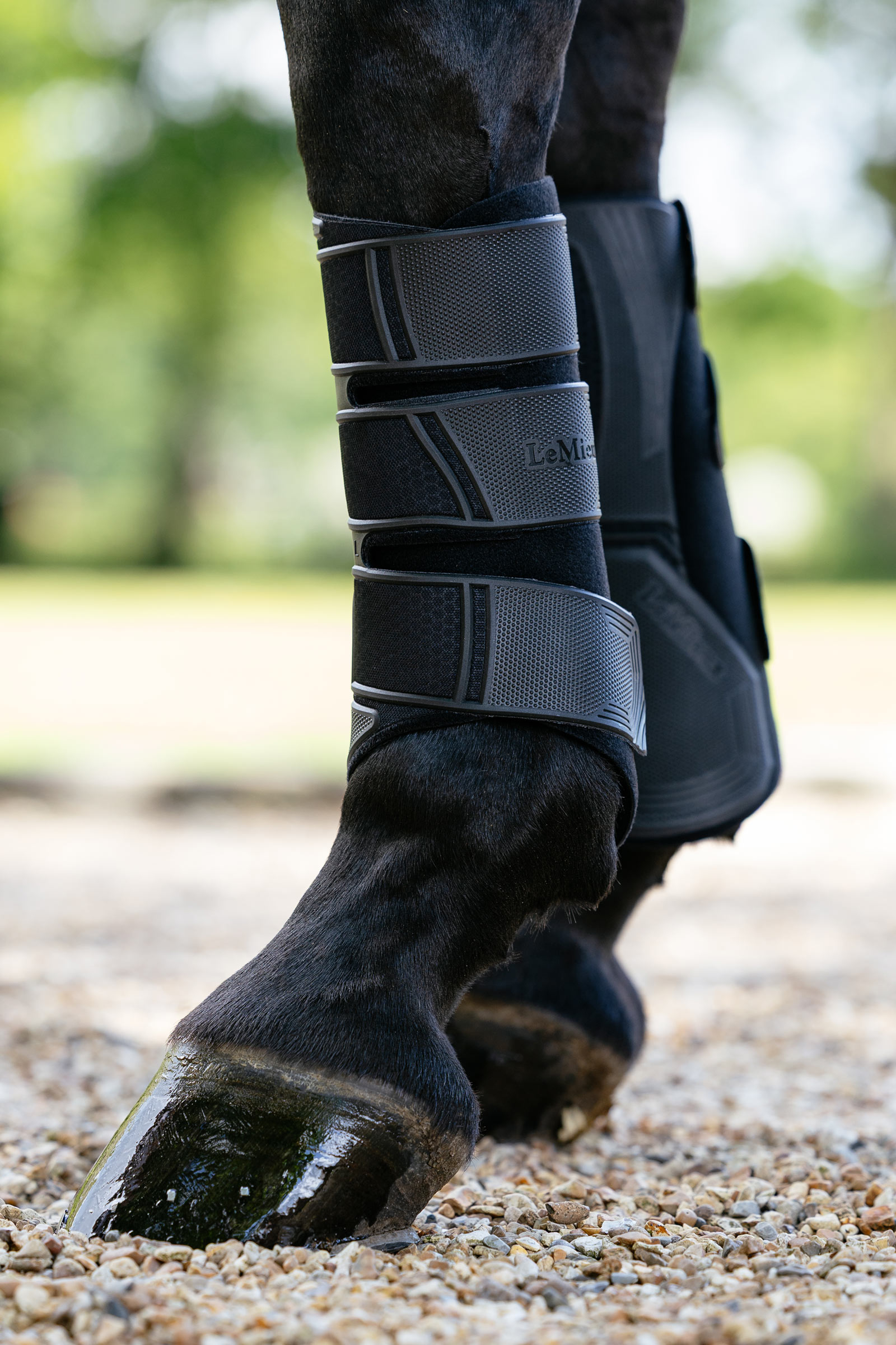 Black LeMieux Technical Dressurgamaschen