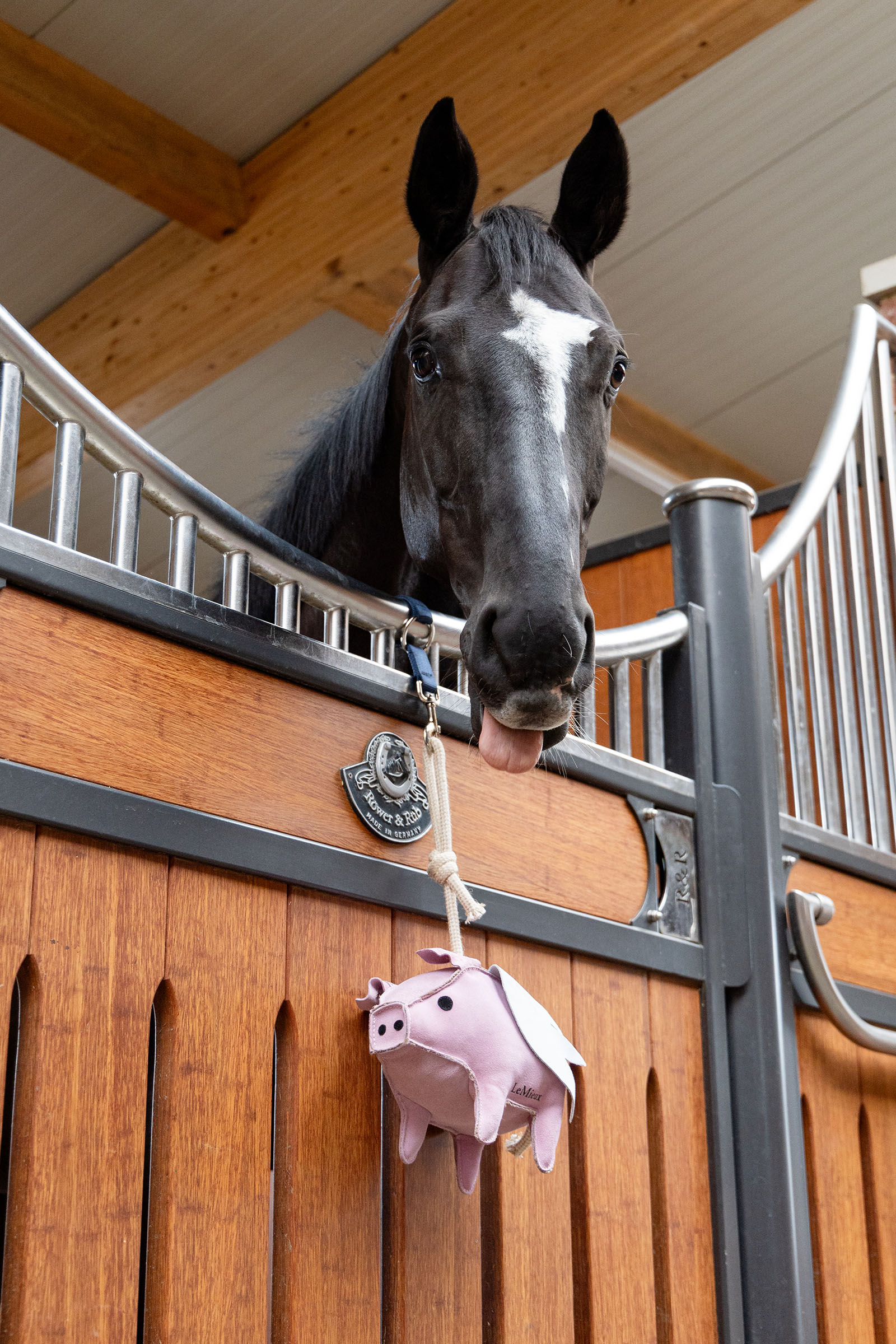 LeMieux Pferdespielzeug Fliegendes Schwein