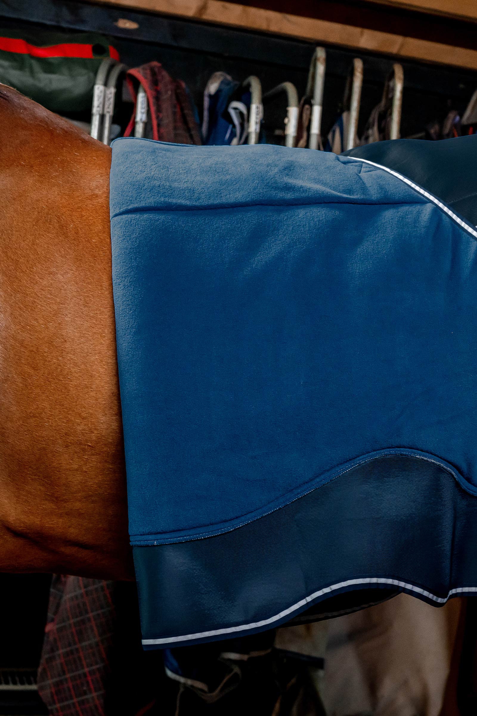 Horseware Dry Liner Unterdecke mit Abschwitzfunktion, 50 g