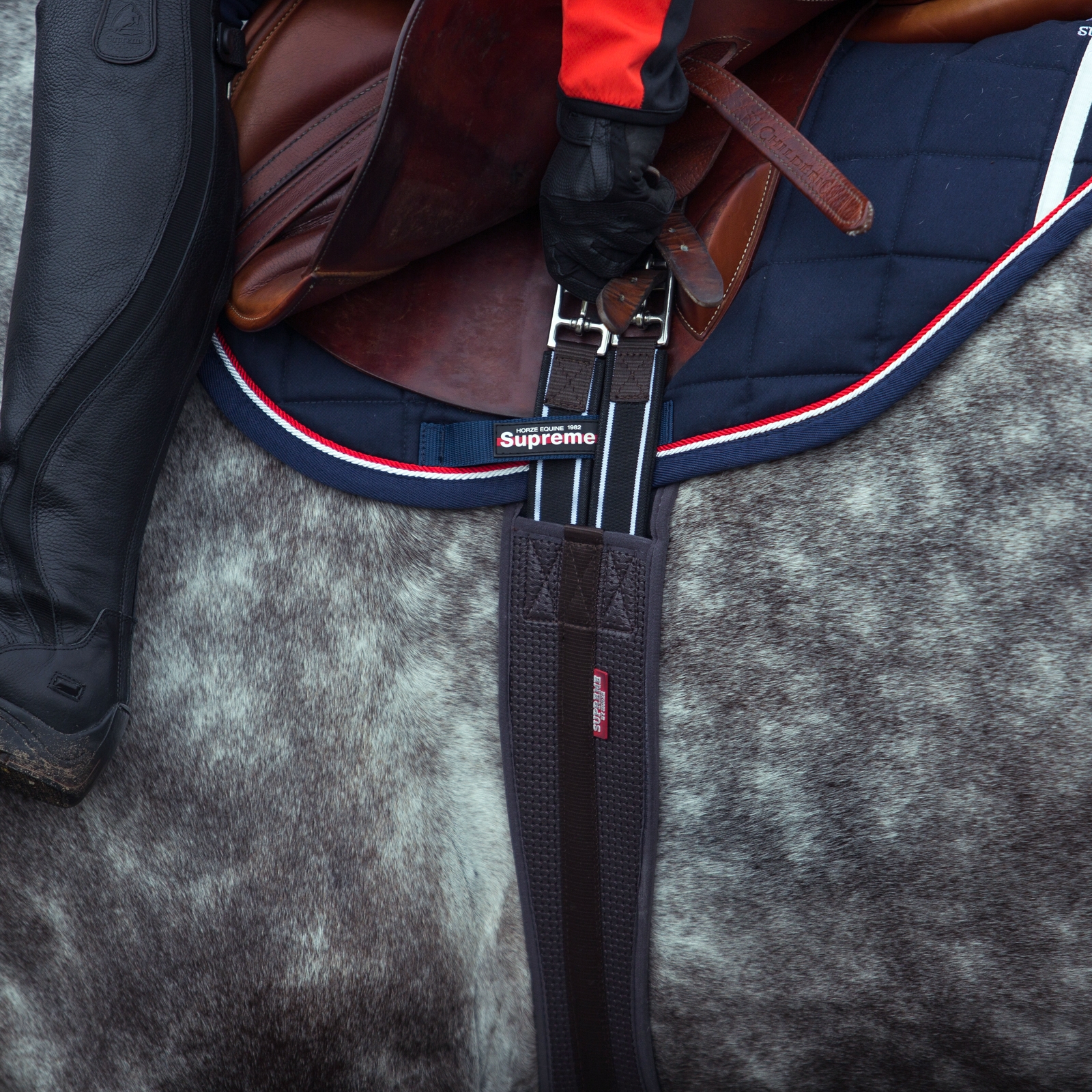 Horze Dallas Langgurt