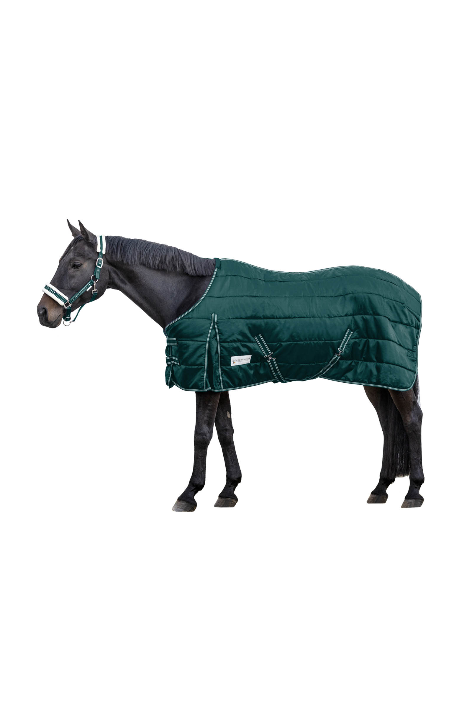 Waldhausen Stable Rug Economic 100 g