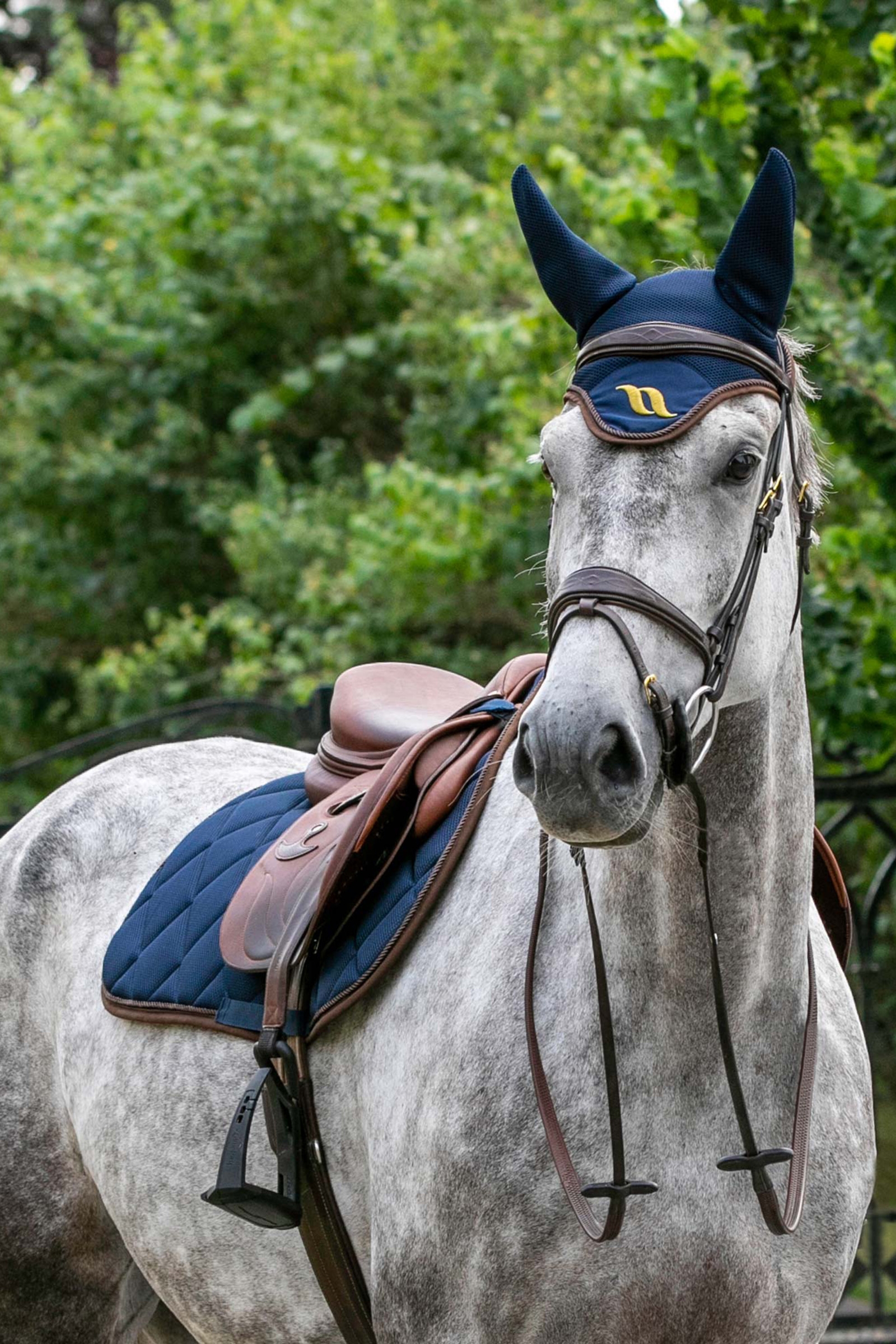 Back on Track Airflow Dressurschabracke