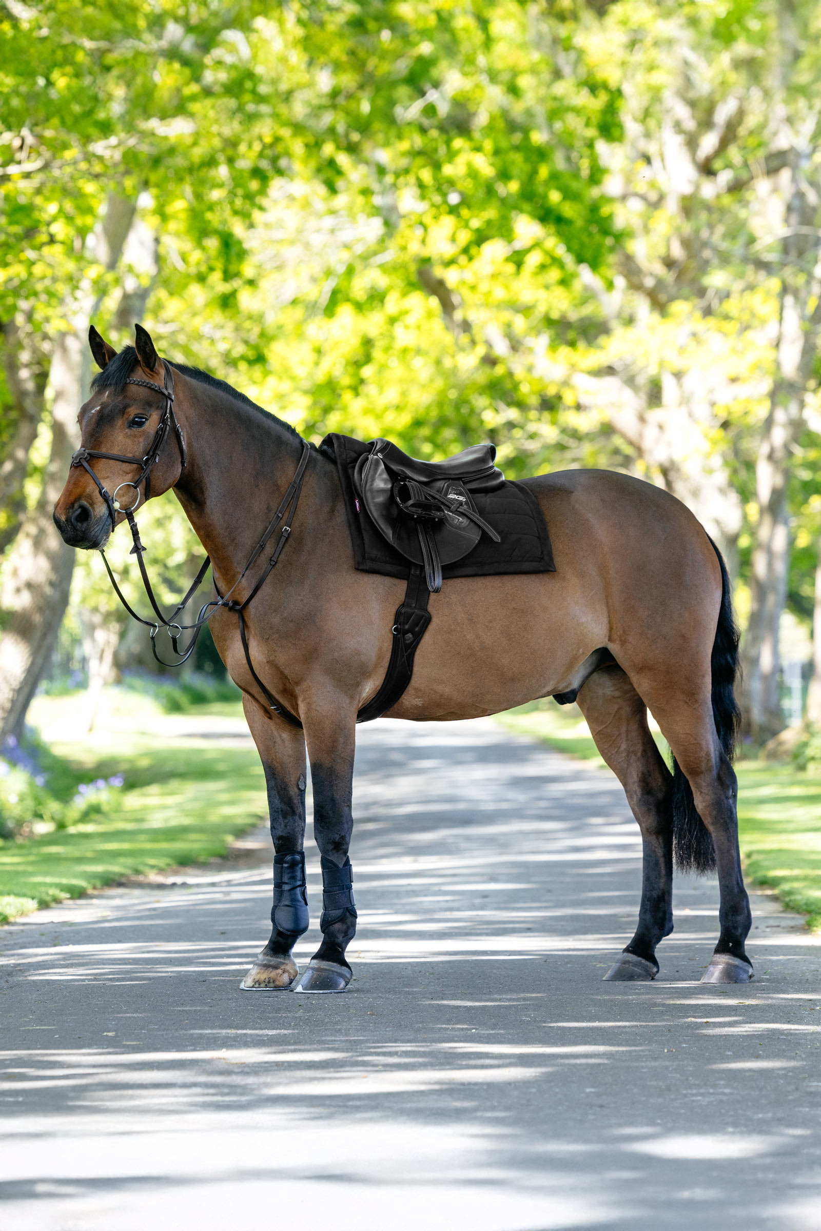 LeMieux Pillow gepolsterte Vielseitigkeitsschabracke