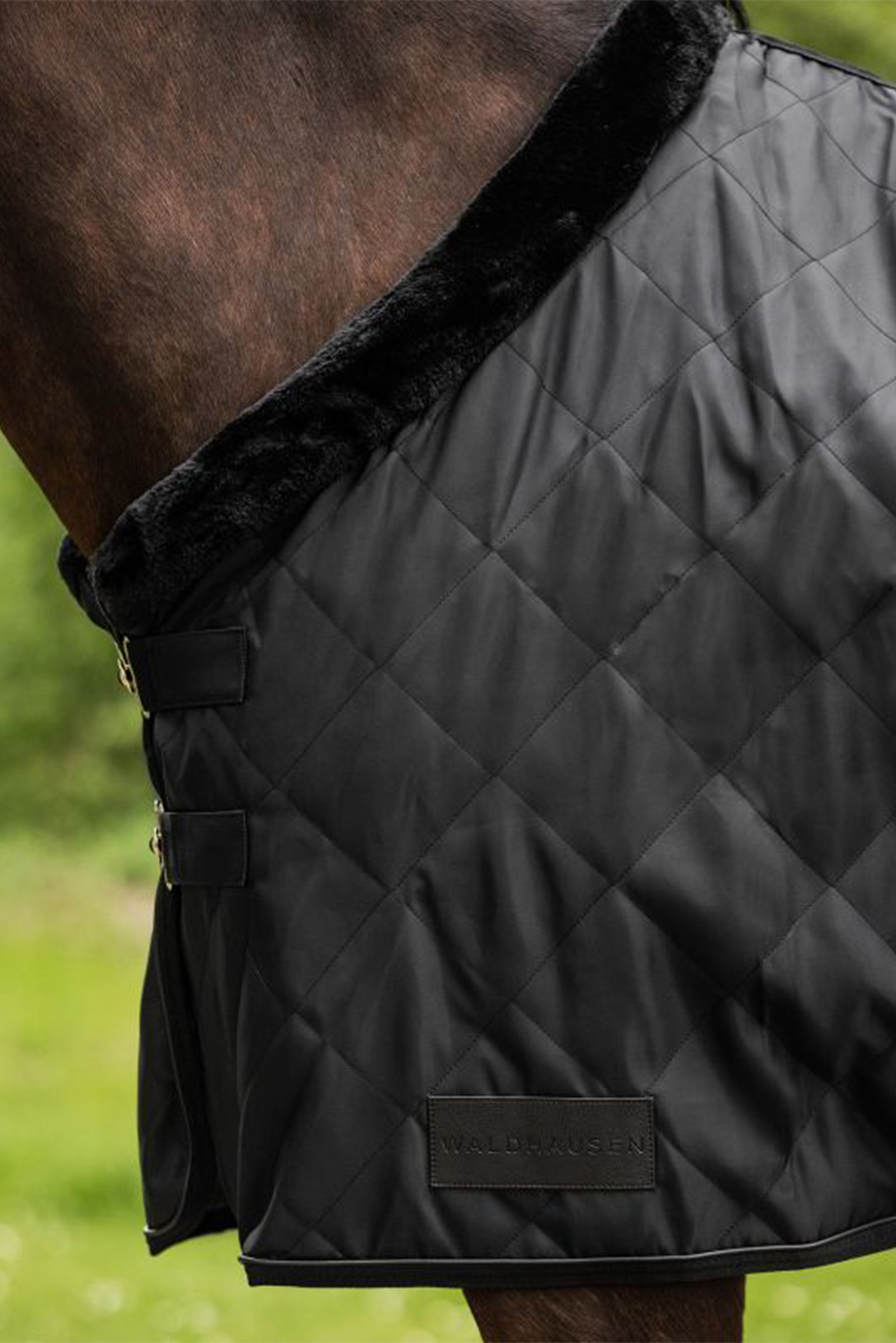 Waldhausen Transportdecke Exclusive, 50g