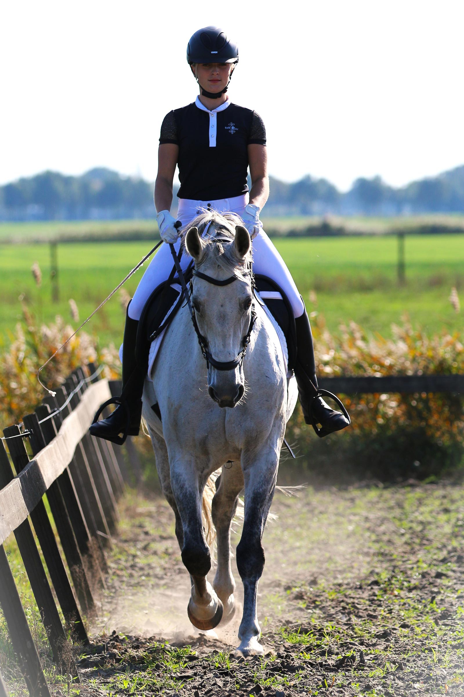 F.R.A. Freedom Riding Articles Calli Hackamore Zaum mit Zügeln (System 2)