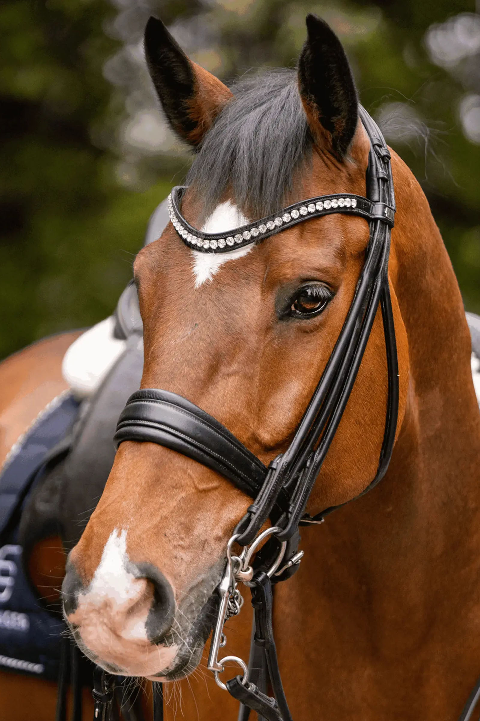 Sprenger Novocontact Weymouth 14mm Sensogan mit 7cm Edelstahl-Schenkeln