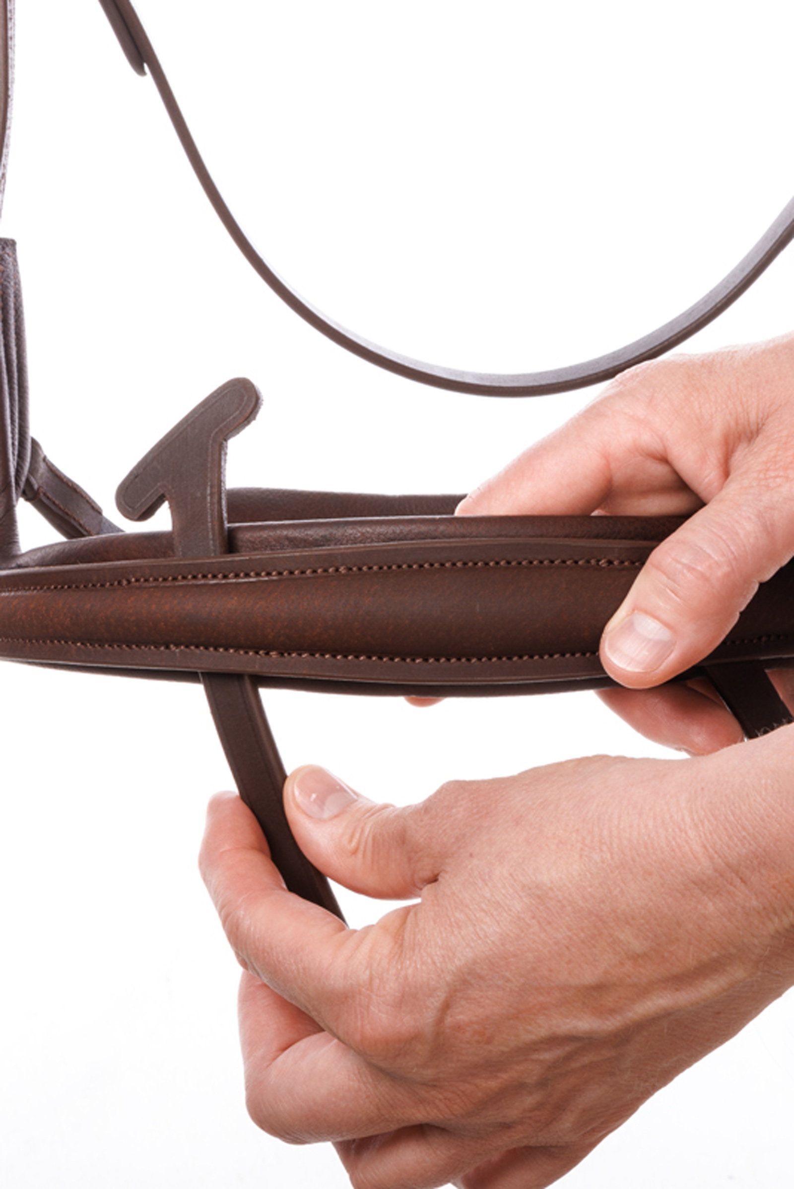 Kavalkade Caliano Englische Trense