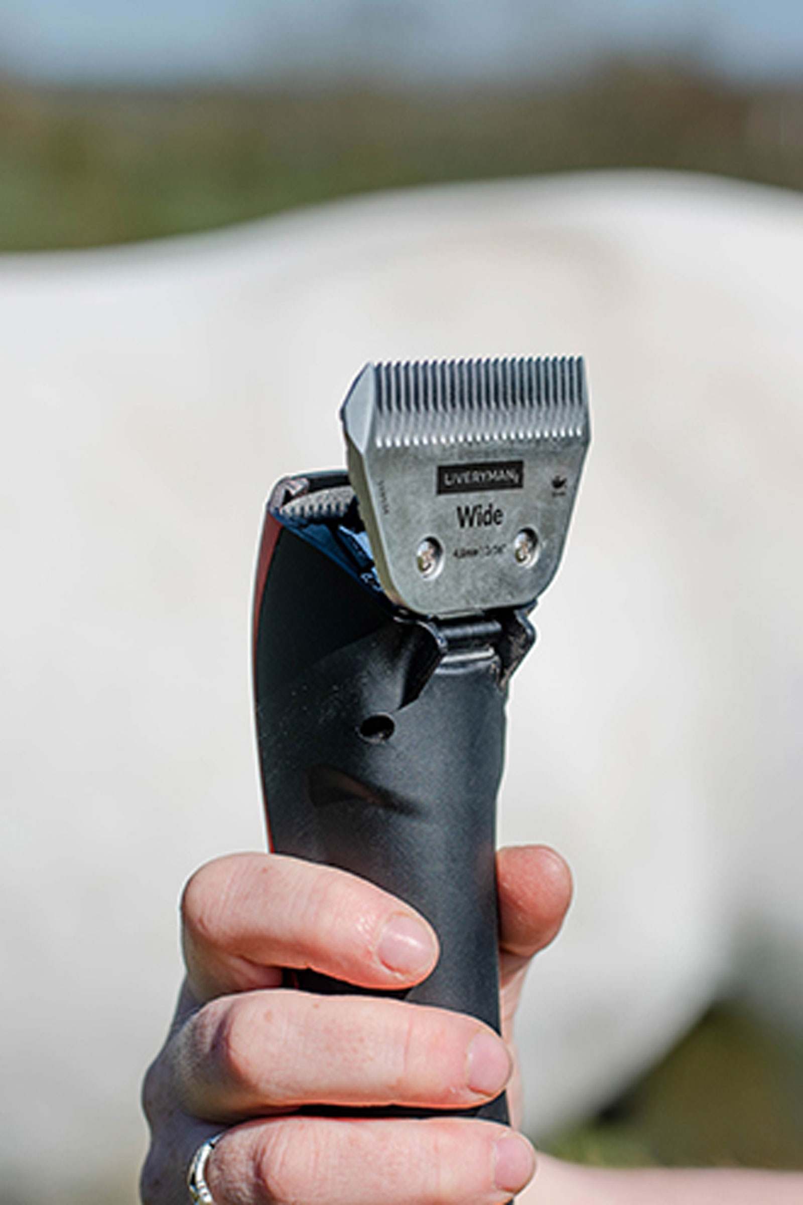 Liveryman A5 Snap-on Klinge breit, fein, 2,4 mm