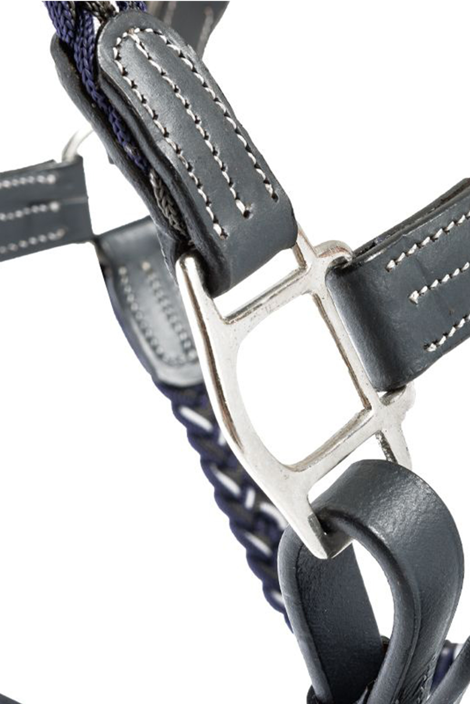 Kavalkade Tessa Flechthalfter