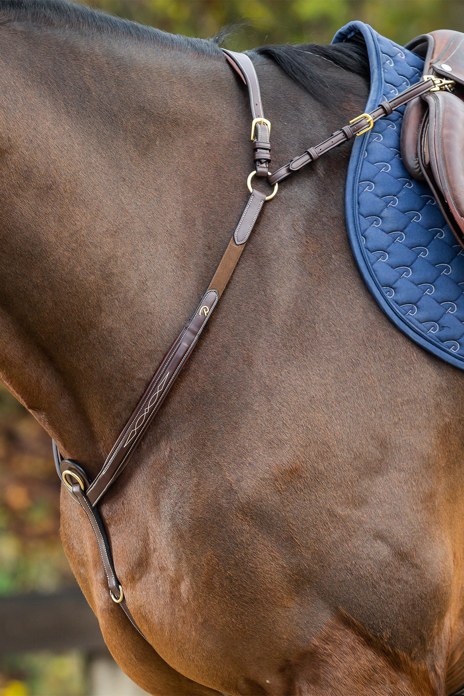 Dy'on D Collection Vorderzeug mit Brücke