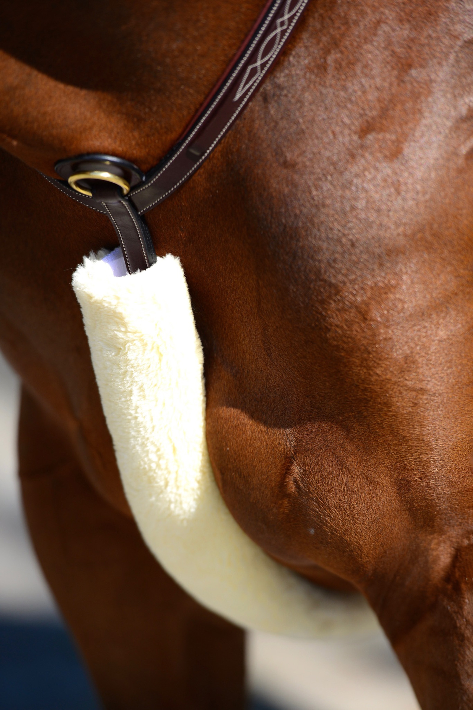 Natural Kentucky Horsewear Lammfell Brustriemen-Schutz