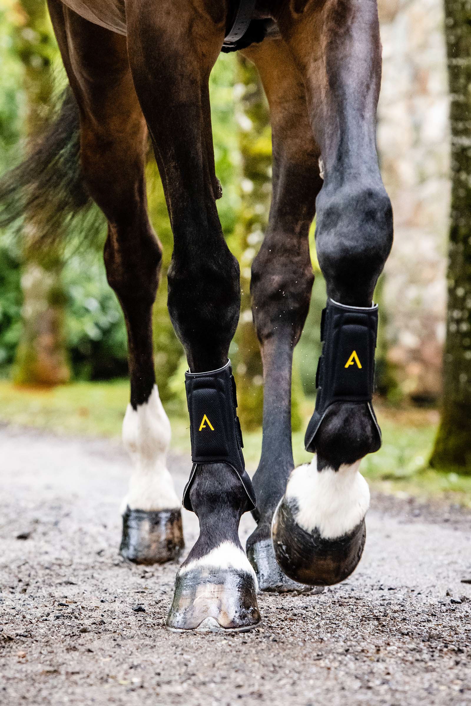 Horseware Adagio Gamaschen