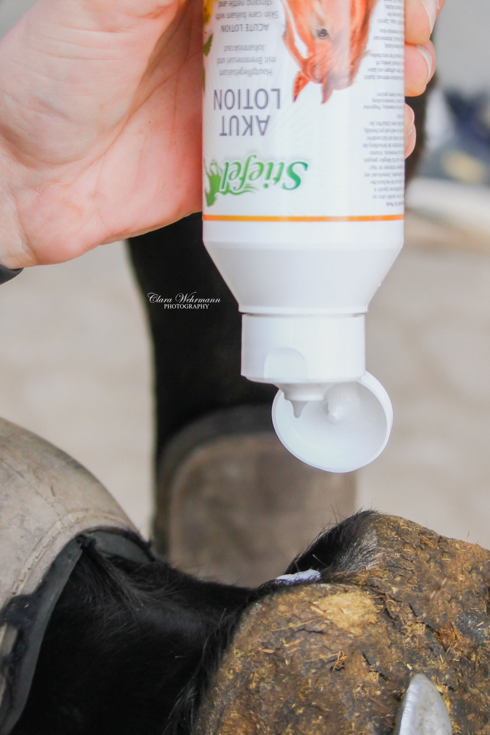 Stiefel Acute Lotion