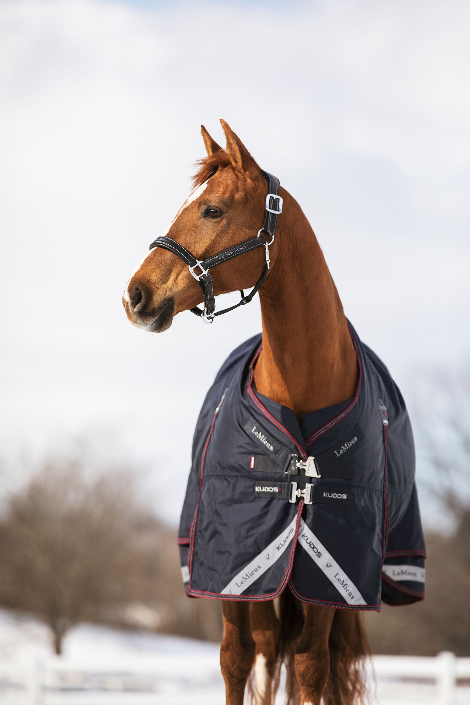 LeMieux Kudos Outdoordecke, 350 g