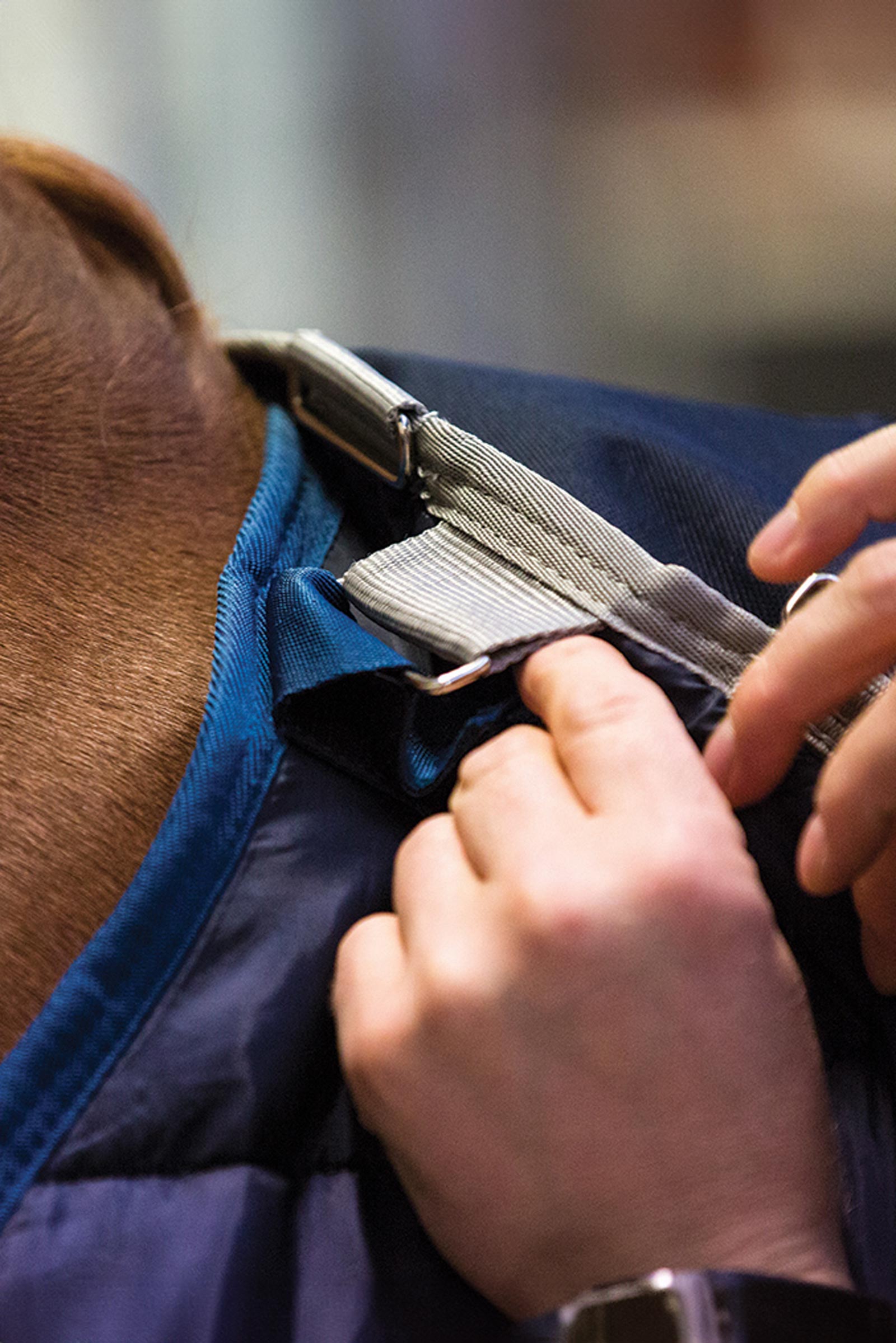 Horseware Liner Unterdecke, 200 g