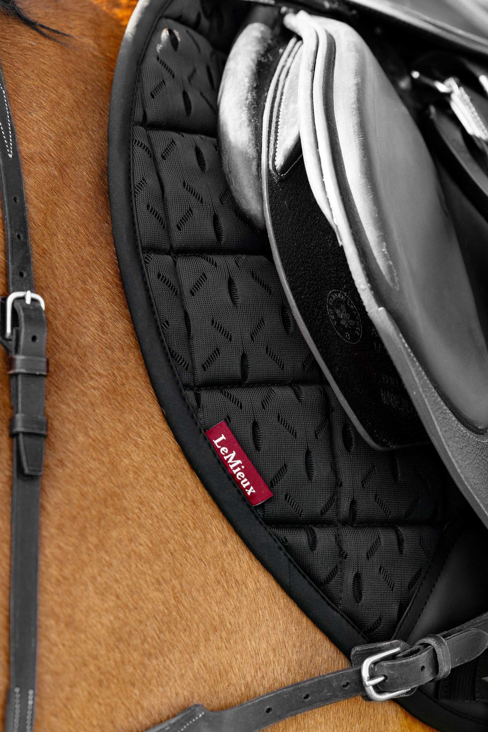 LeMieux 3D Mesh Self-Cool Eurojump Springschabracke