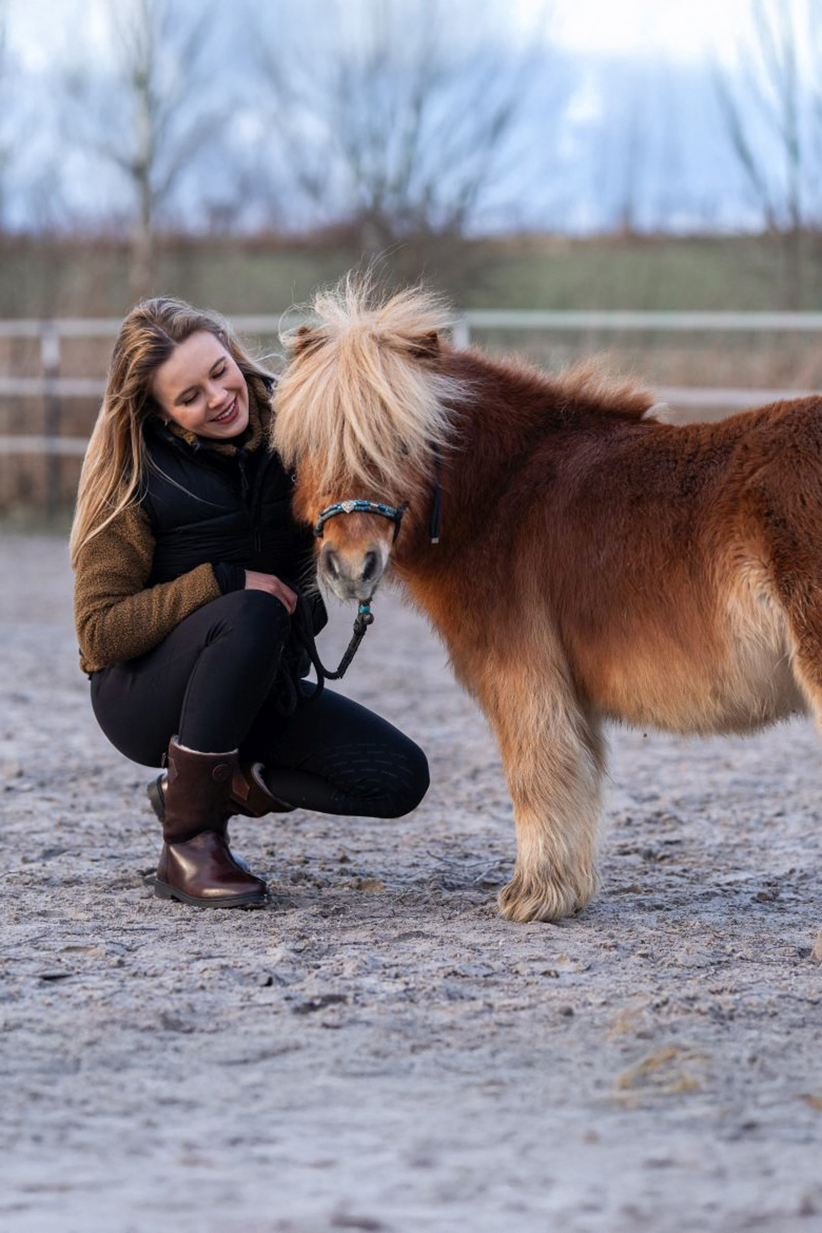 Suedwind Footwear Leo Merino halbhohe Winterreitstiefel