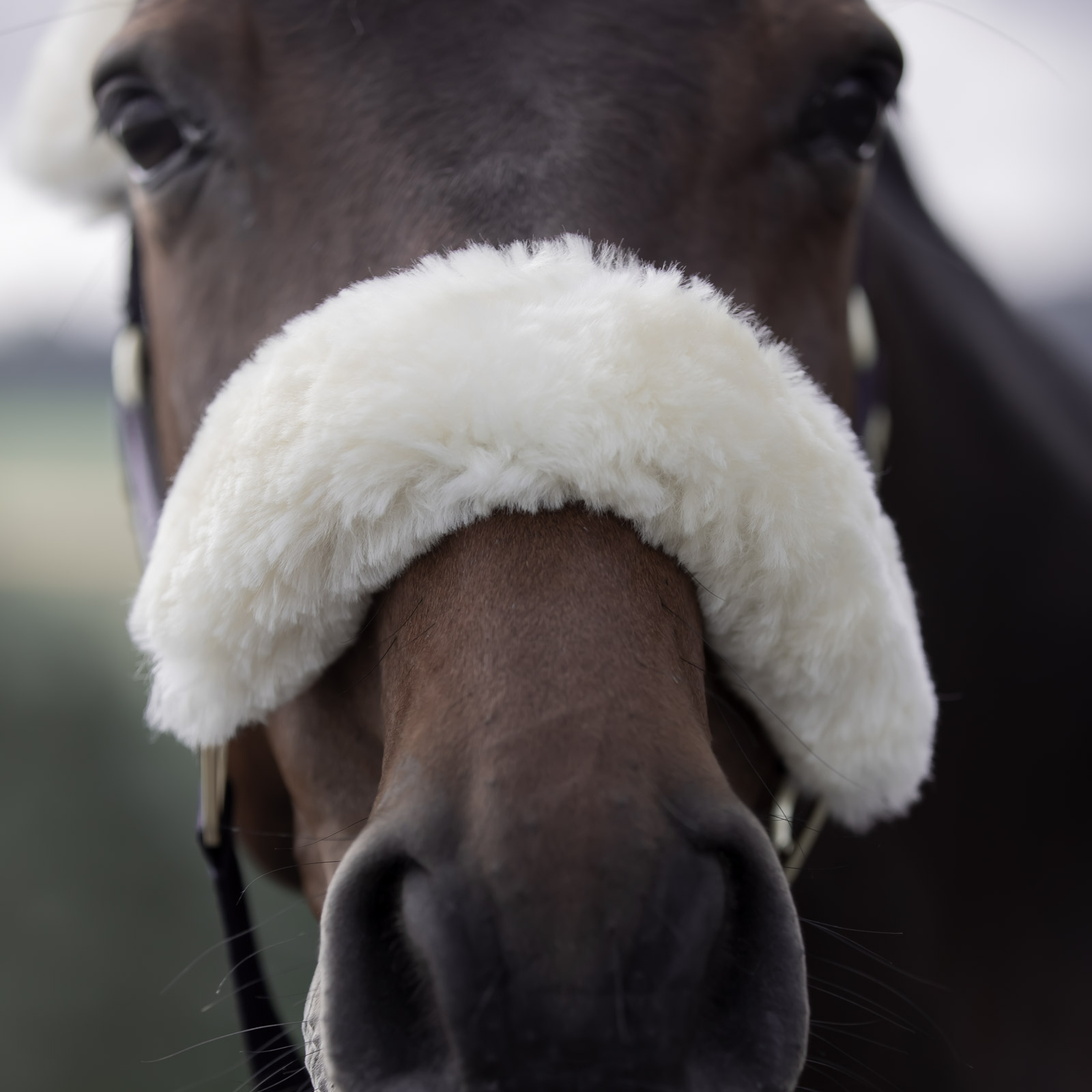 B Vertigo Laurier Halfter mit Lammfell