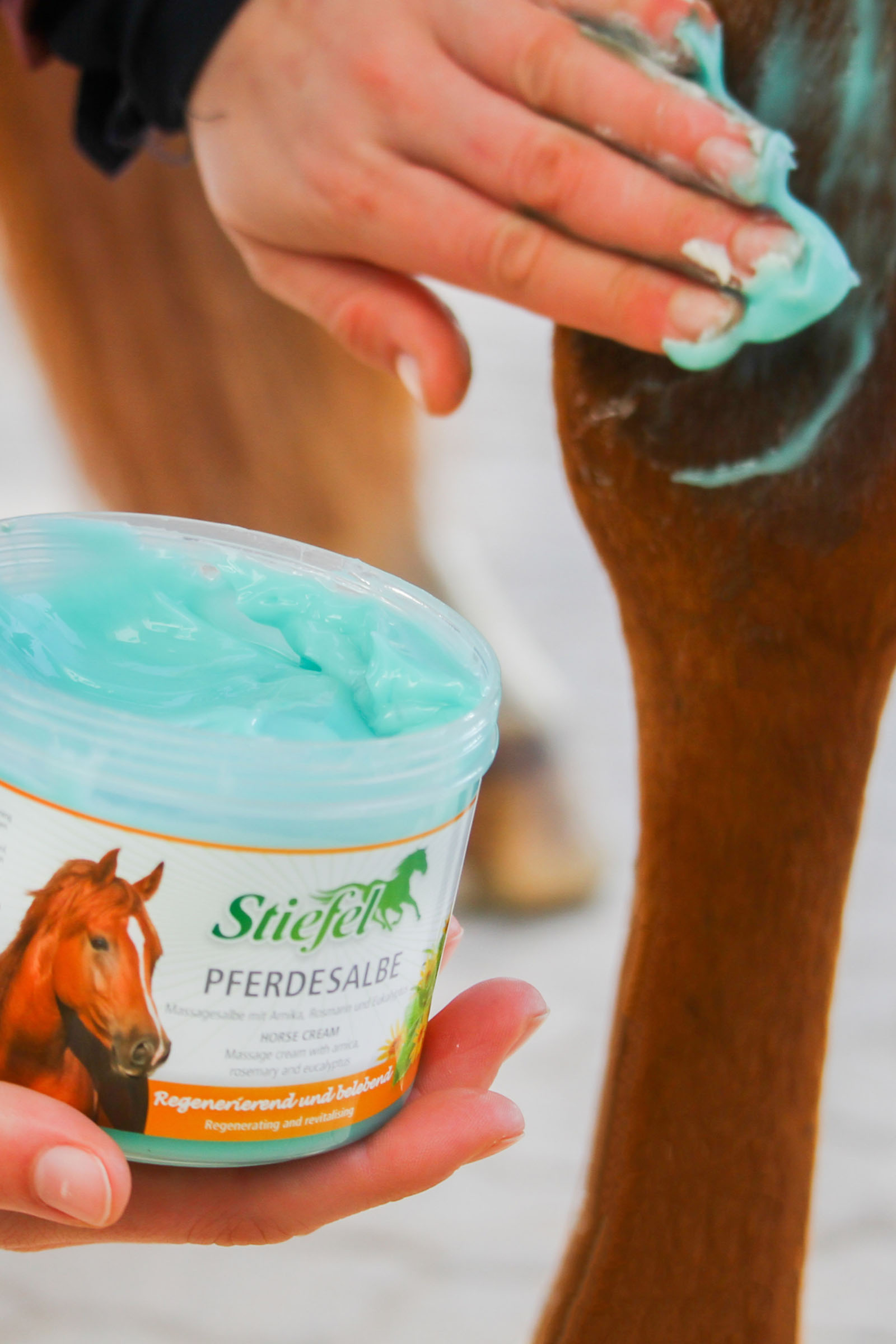 Stiefel Pferdesalbe