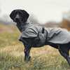 Back on Track Nella All-Round Hundemantel, 25-35cm