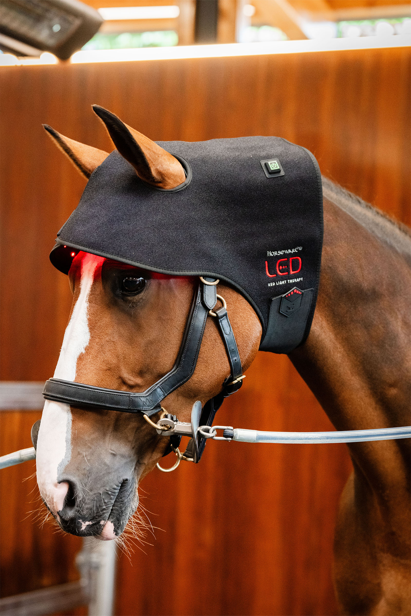 Horseware LED Rotlicht-Therapie Genickhaube