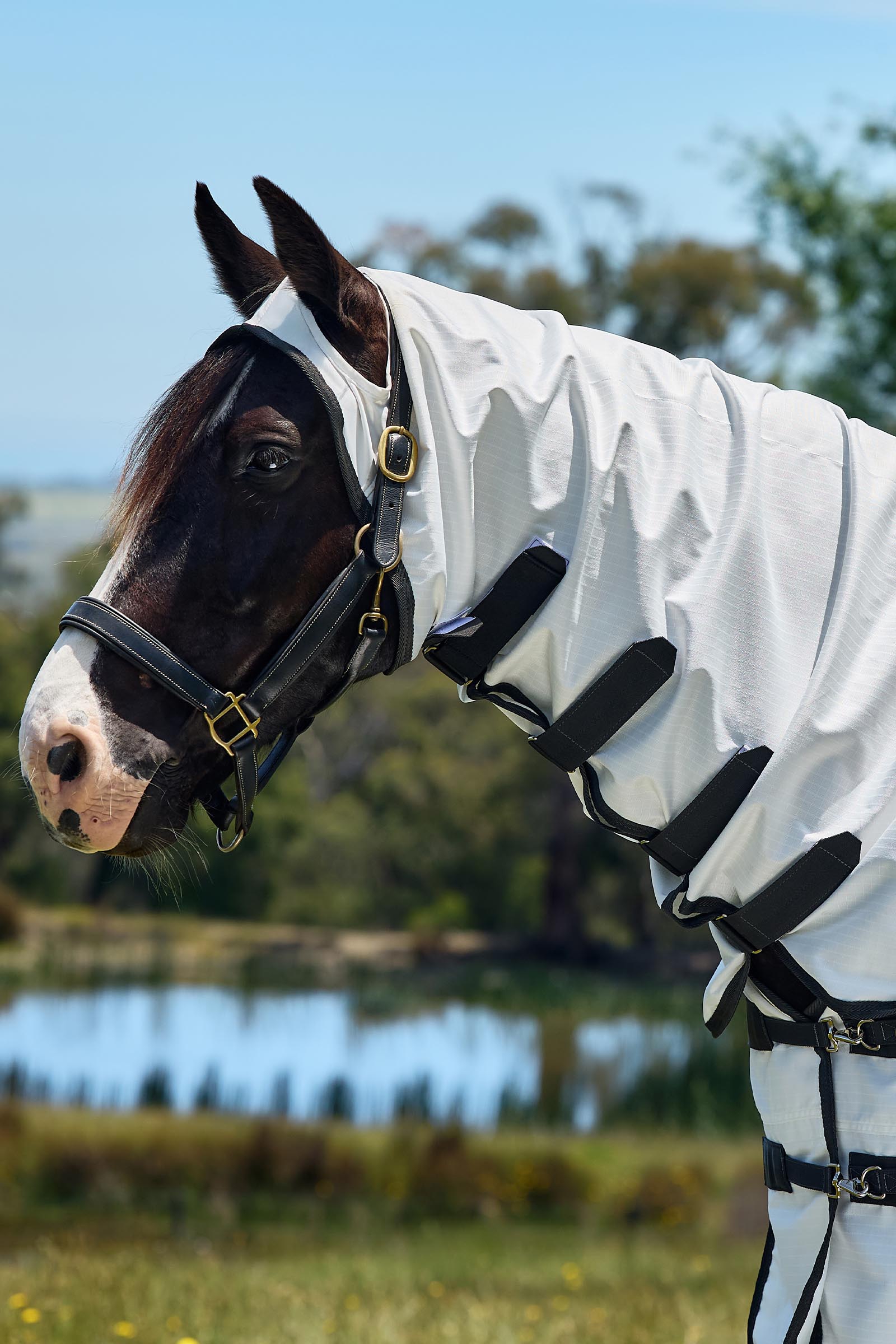 Weatherbeeta ComFiTec Sweet Itch Shield Fliegendecke Kombi mit festem Hals, 0 g  