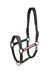 Tommy Hilfiger Equestrian Lincoln Halfter