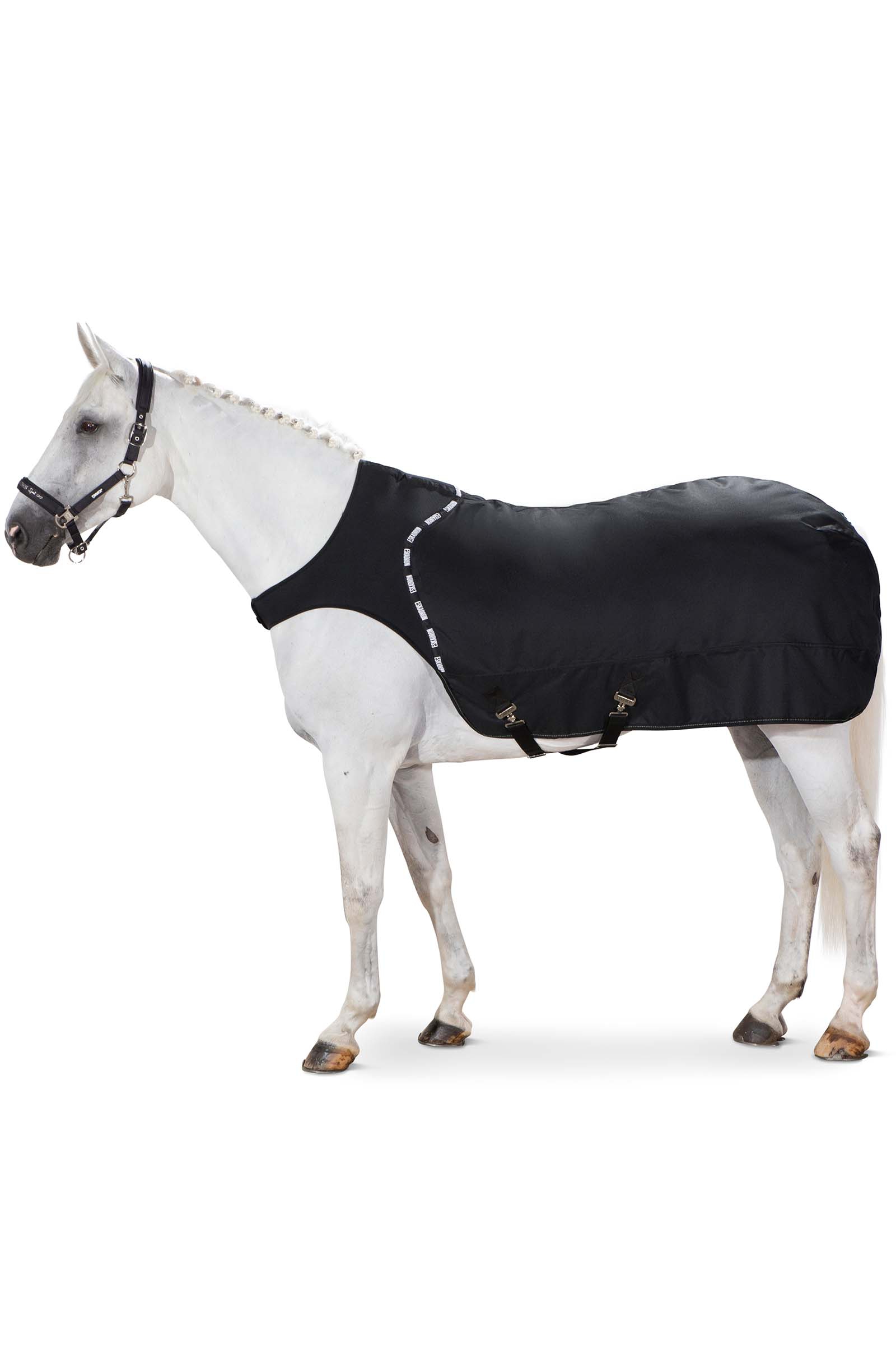 Eskadron Delta Führmaschinendecke, 150g