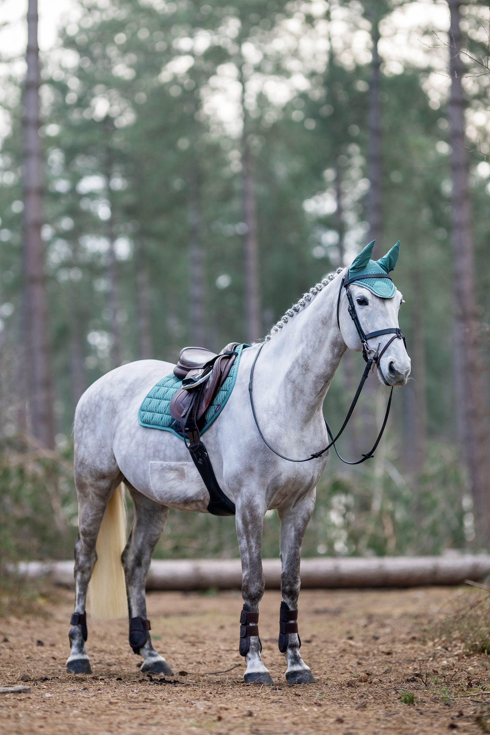 LeMieux Classic Fliegenhaube