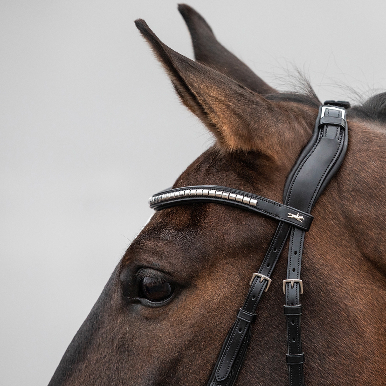 Schockemöhle Sports Equitus Rho Genickstück