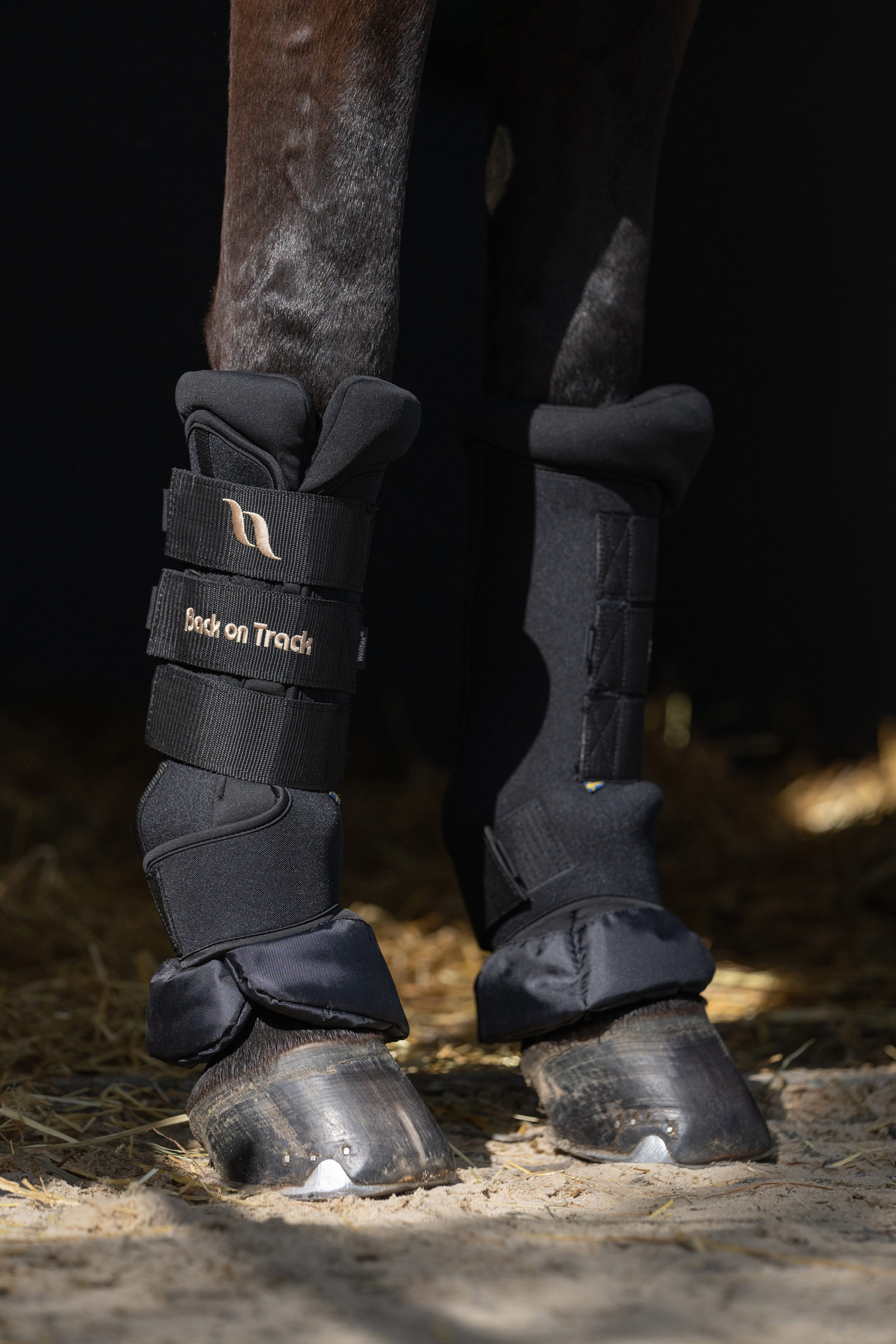 Back On Track Quick Royal Stallgamaschen