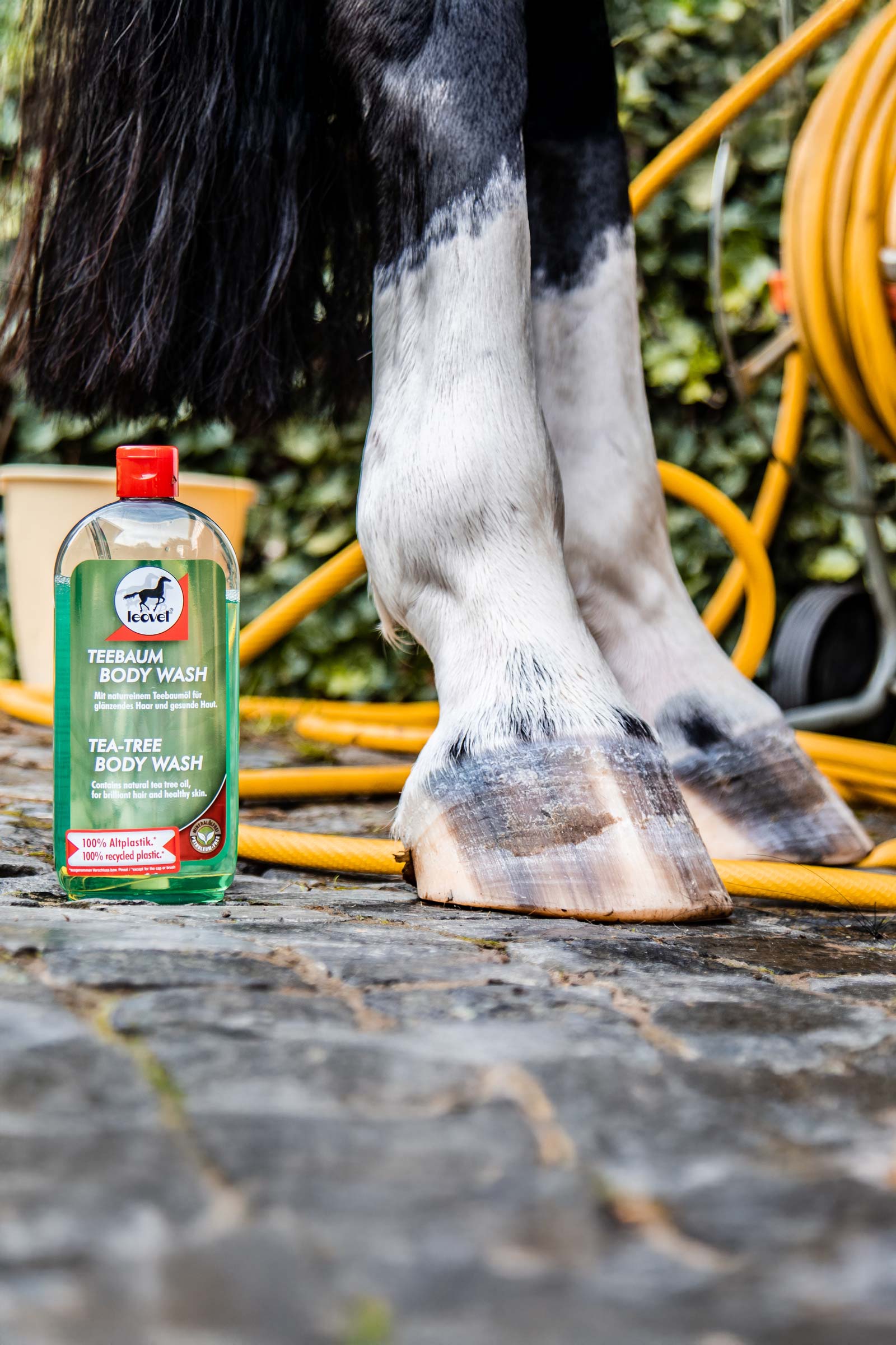 Leovet Teebaum Body Wash