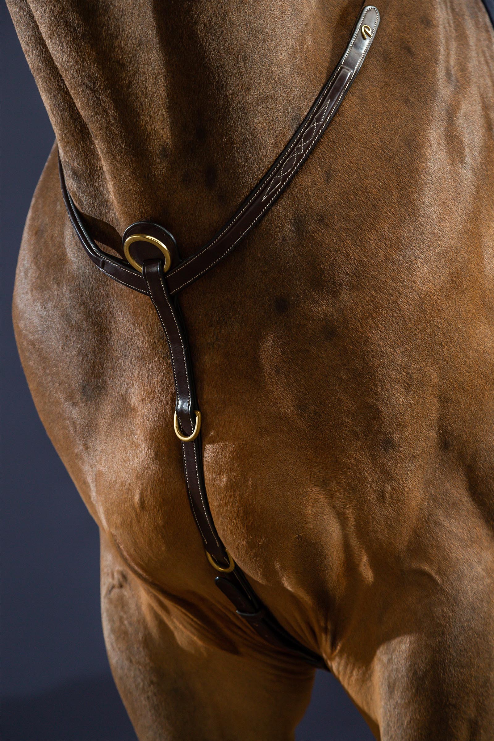 Dy'on D Collection Vorderzeug mit Br&uuml;cke