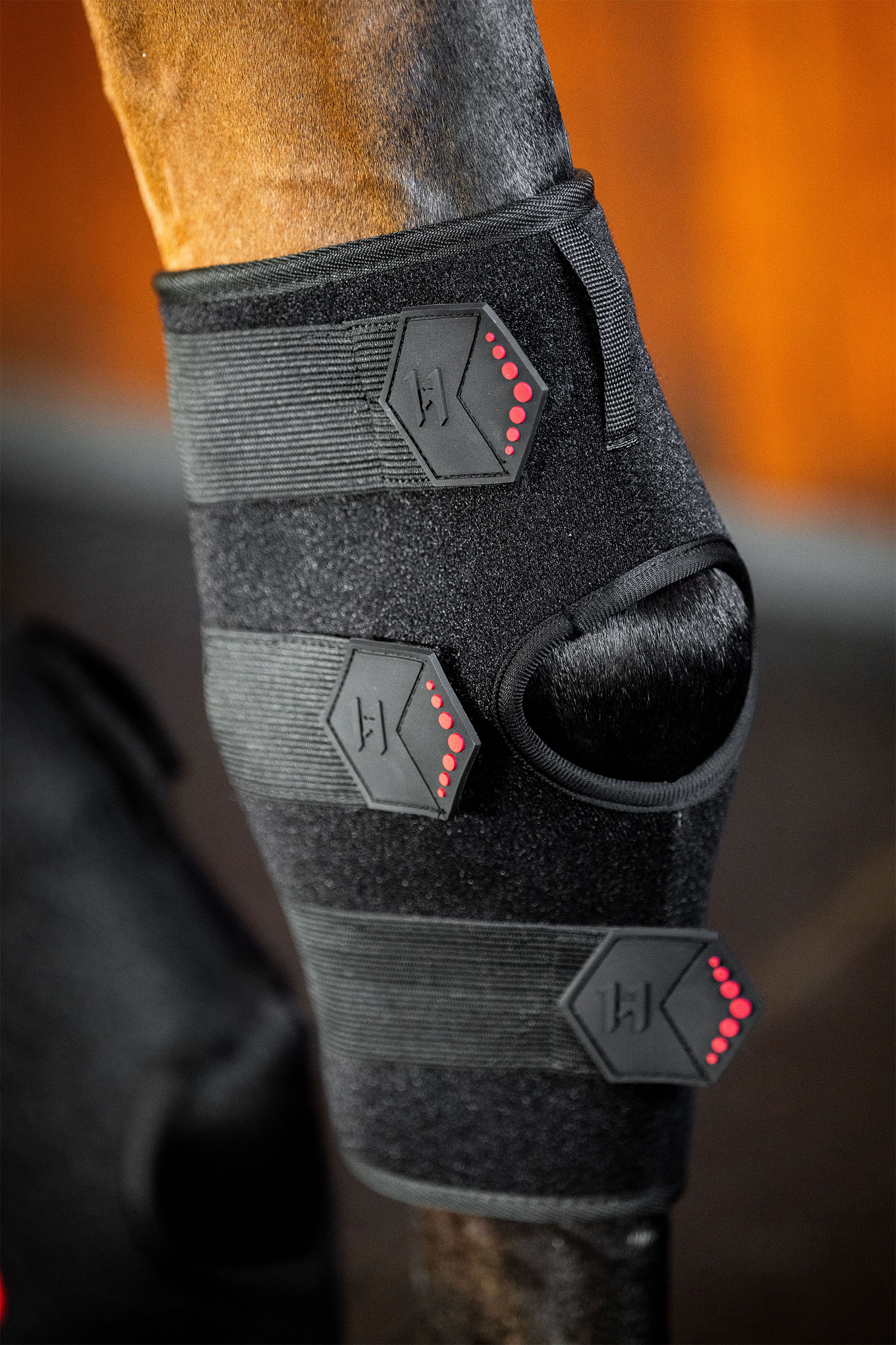 Horseware LED Rotlicht-Therapie Sprunggelenksgamasche (1 Stk.)